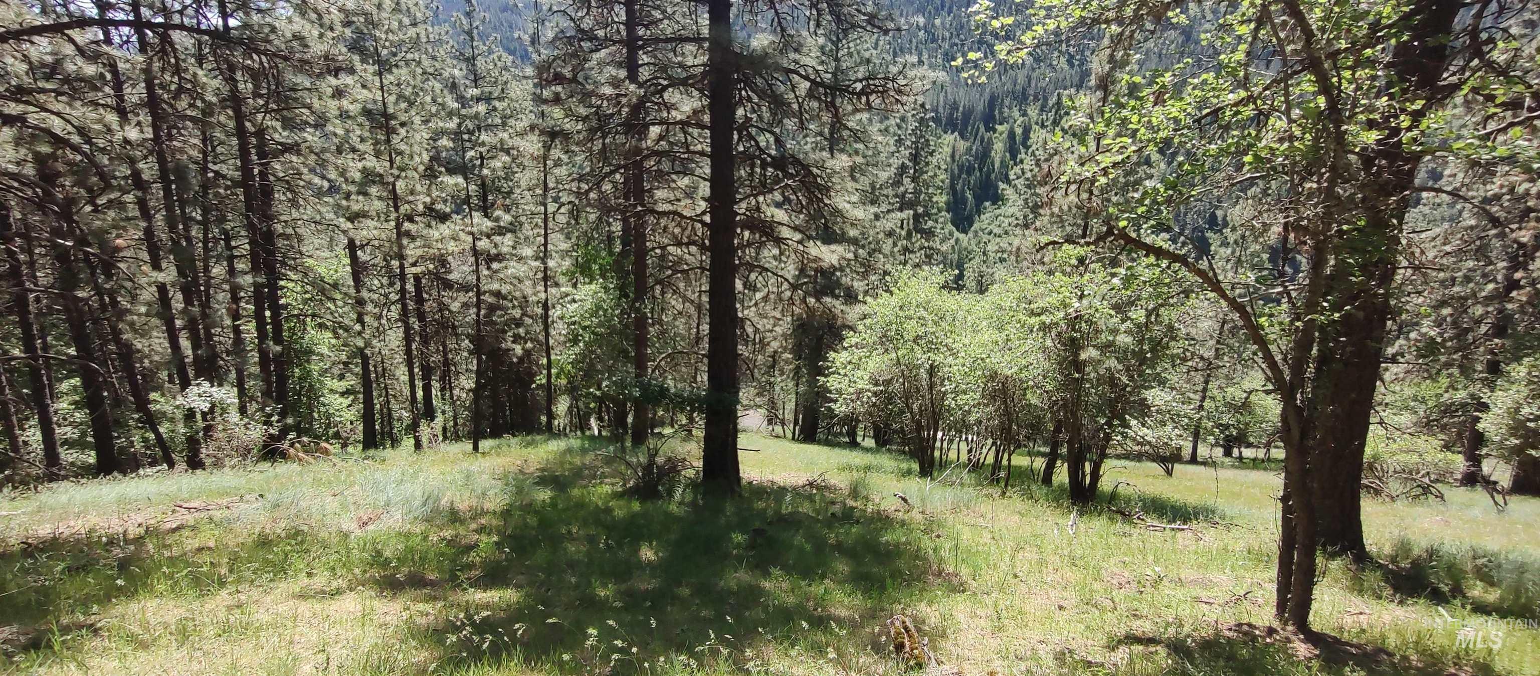 400 Bobcat Drive, Ahsahka, Idaho 83520-2101, 3 Bedrooms, 2 Bathrooms, Residential For Sale, Price $409,700, 98966533