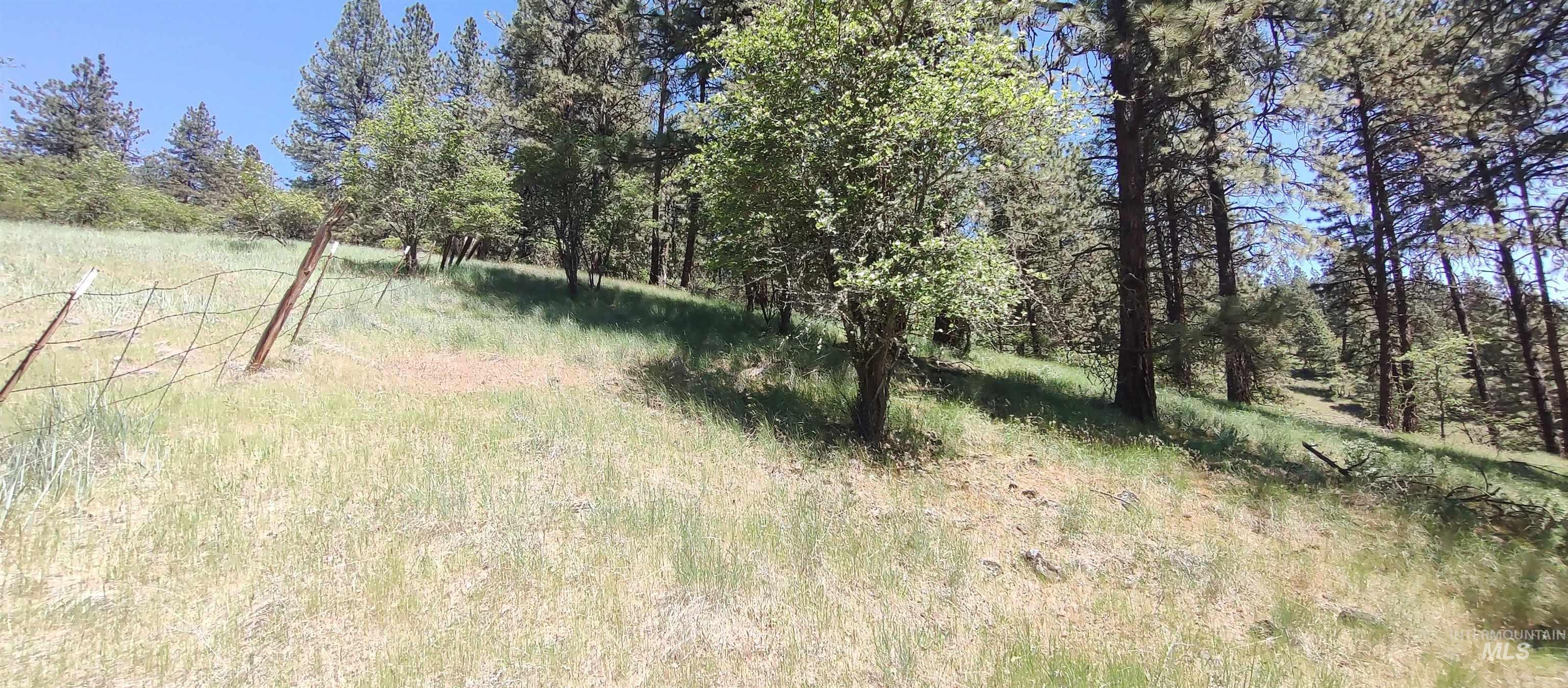 400 Bobcat Drive, Ahsahka, Idaho 83520-2101, 3 Bedrooms, 2 Bathrooms, Residential For Sale, Price $409,700, 98966533