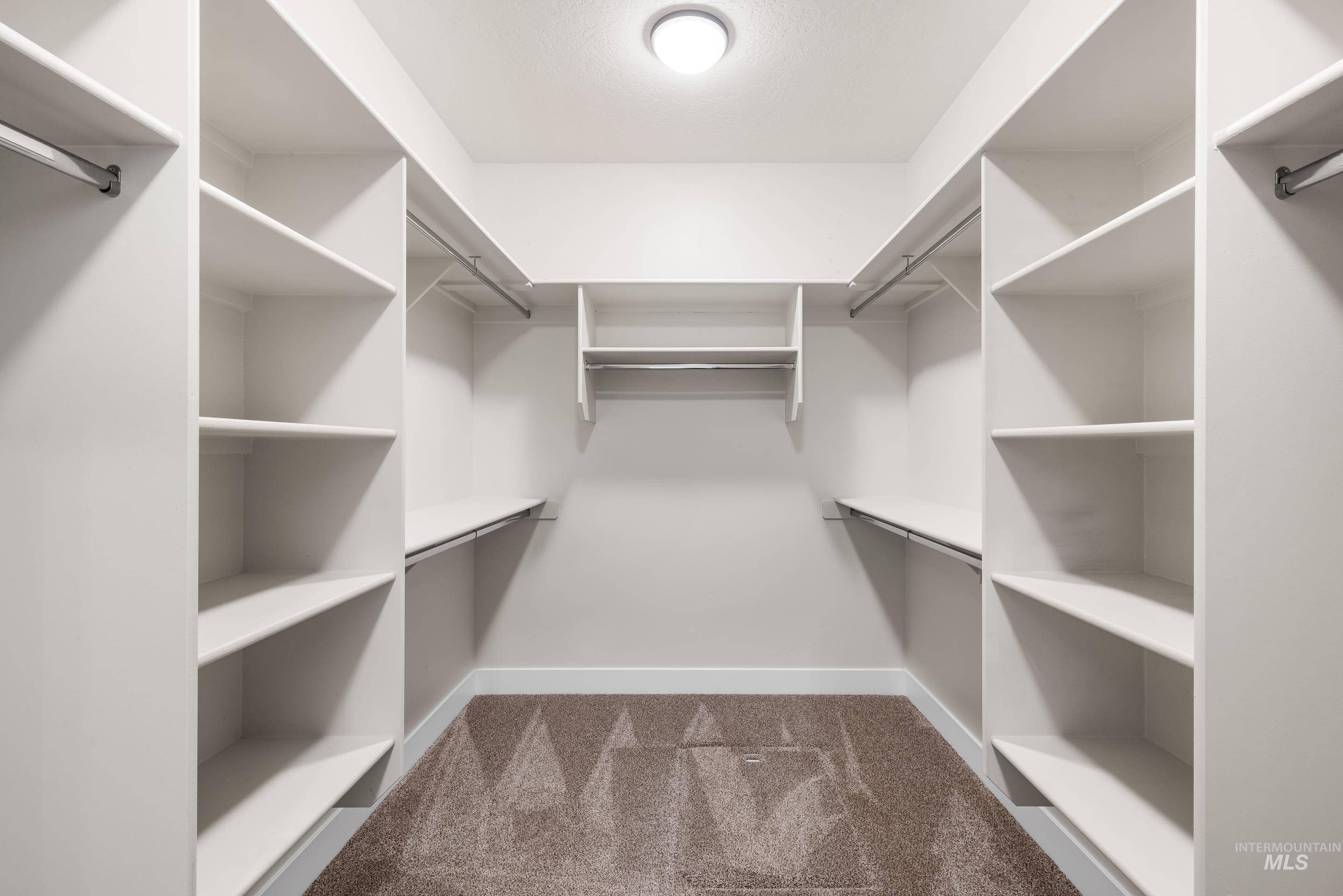 Spacious closet featuring dark carpet