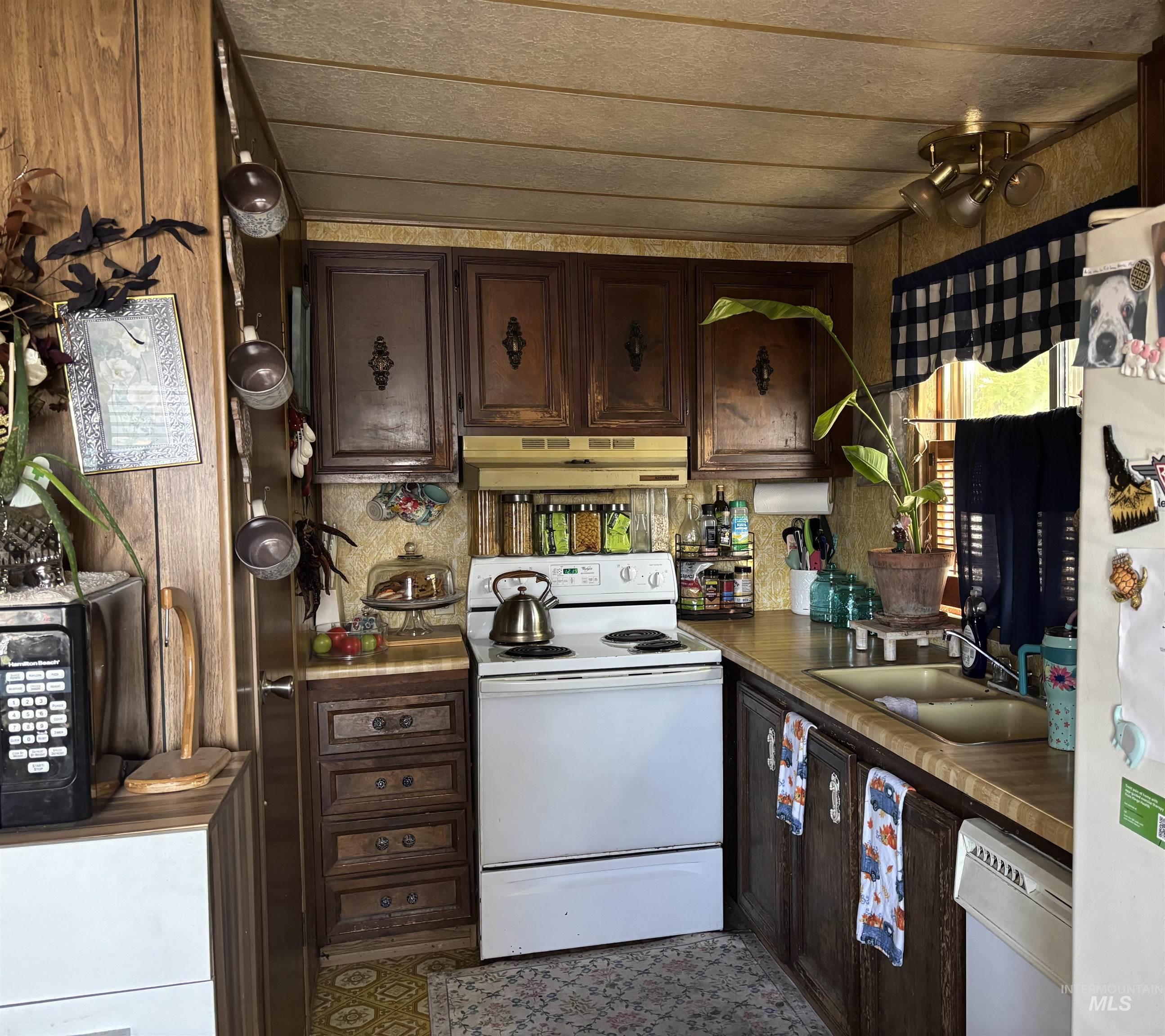 Kitchen with white appliances, dark brown cabinets, and under cabinet range hood