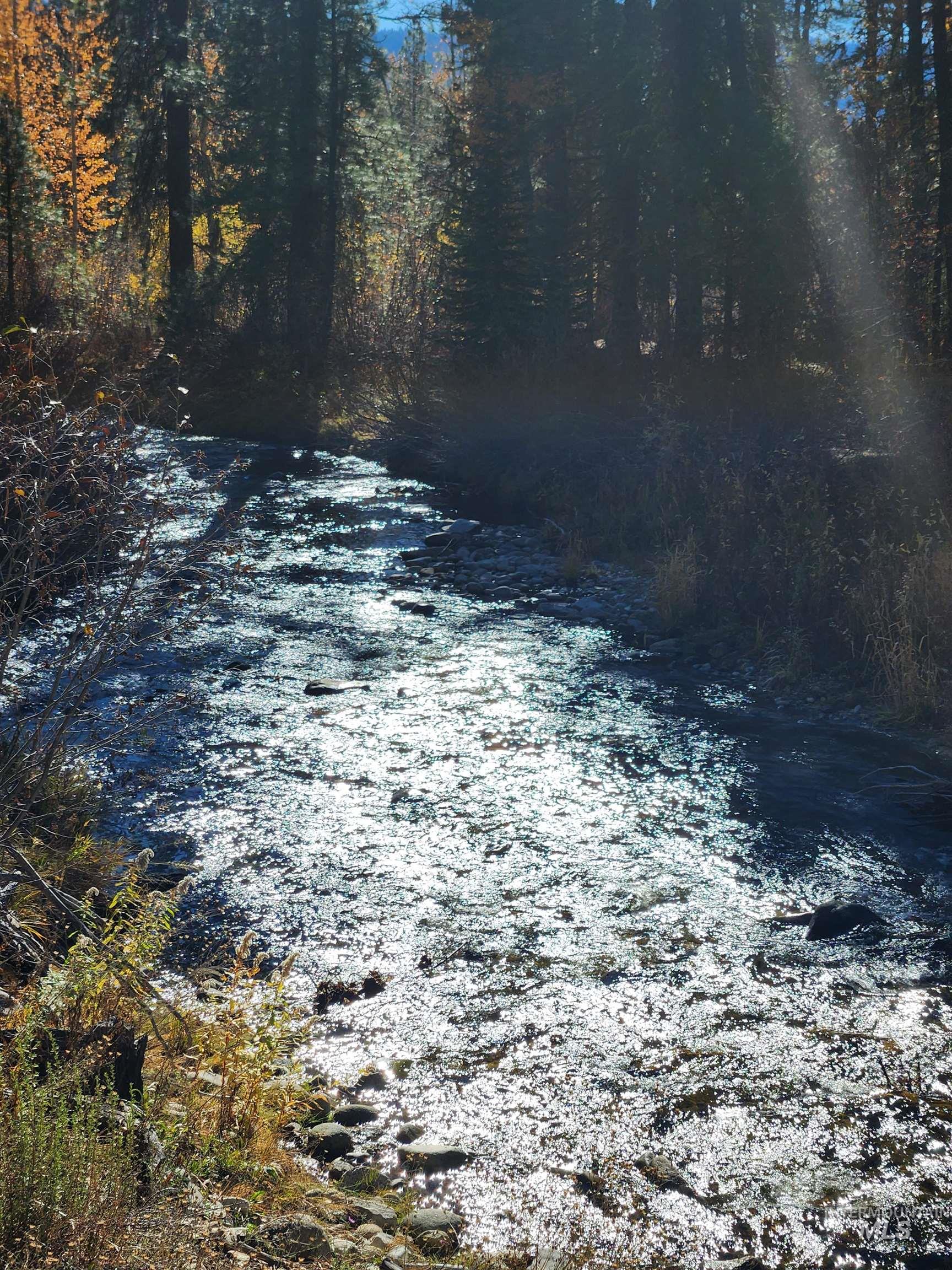 TBD Trinity Creek Rd, Featherville, Idaho 83647, Land For Sale, Price $450,000, 98966565