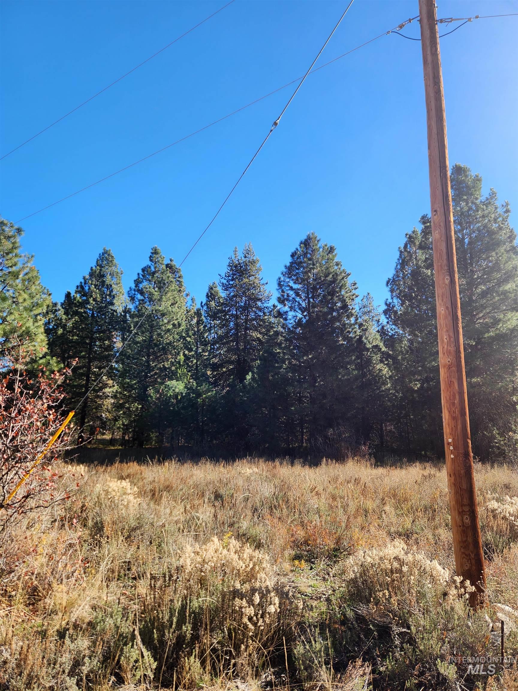 TBD Trinity Creek Rd, Featherville, Idaho 83647, Land For Sale, Price $450,000, 98966565