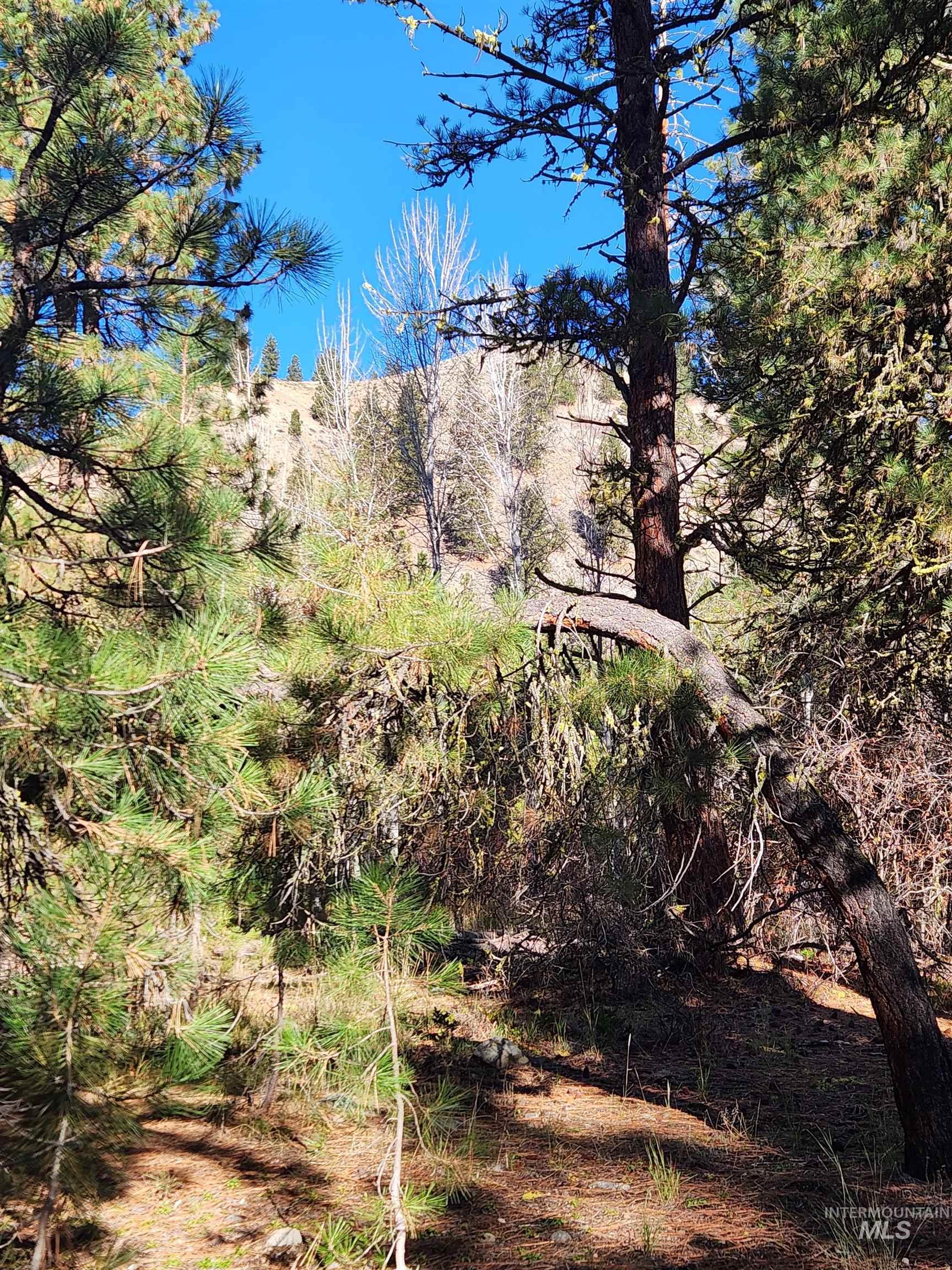 TBD Trinity Creek Rd, Featherville, Idaho 83647, Land For Sale, Price $450,000, 98966565