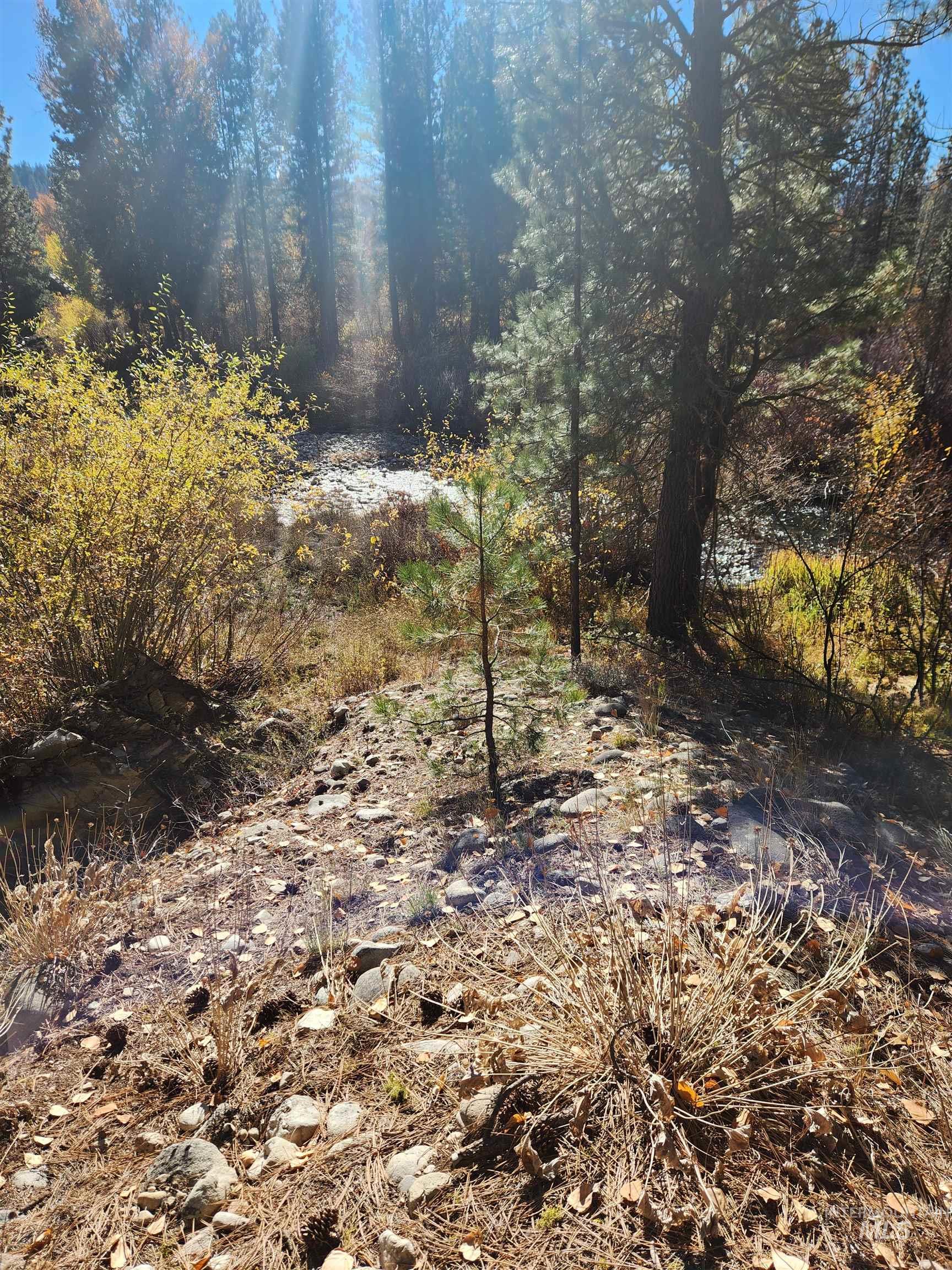 TBD Trinity Creek Rd, Featherville, Idaho 83647, Land For Sale, Price $450,000, 98966565