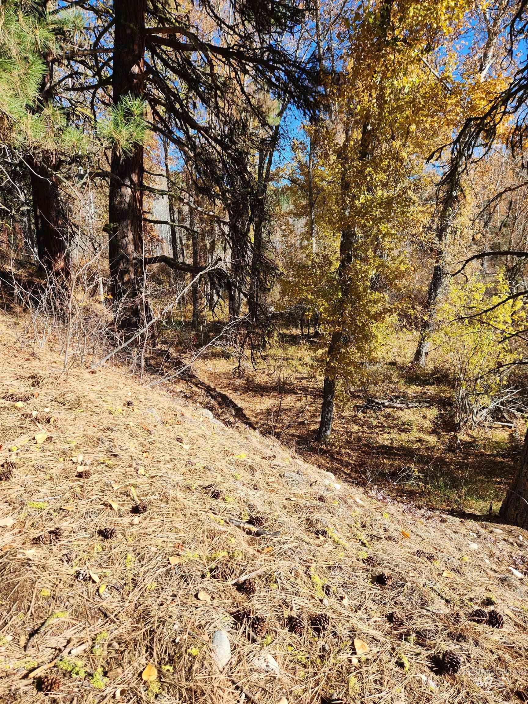 TBD Trinity Creek Rd, Featherville, Idaho 83647, Land For Sale, Price $450,000, 98966565