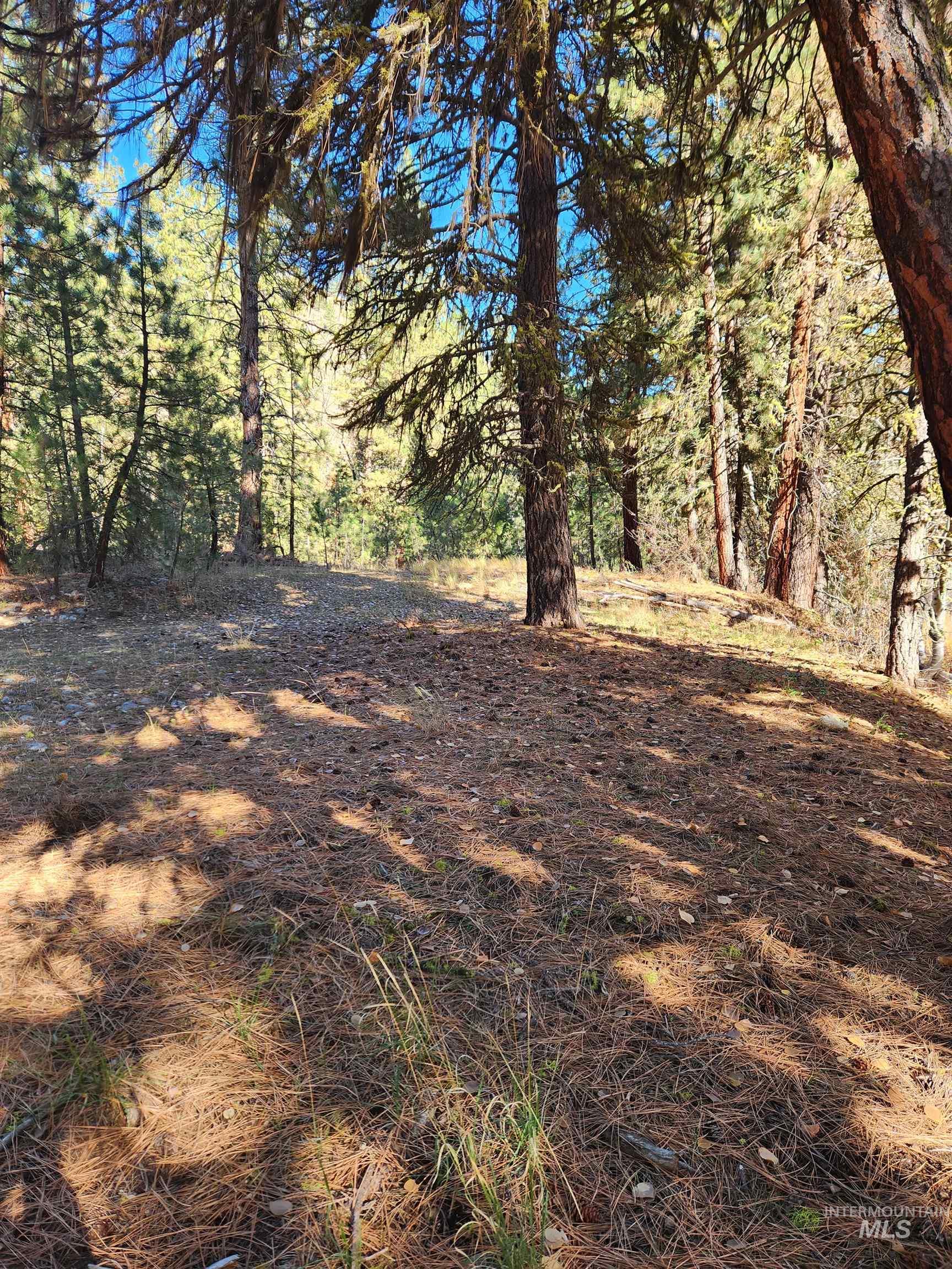 TBD Trinity Creek Rd, Featherville, Idaho 83647, Land For Sale, Price $450,000, 98966565