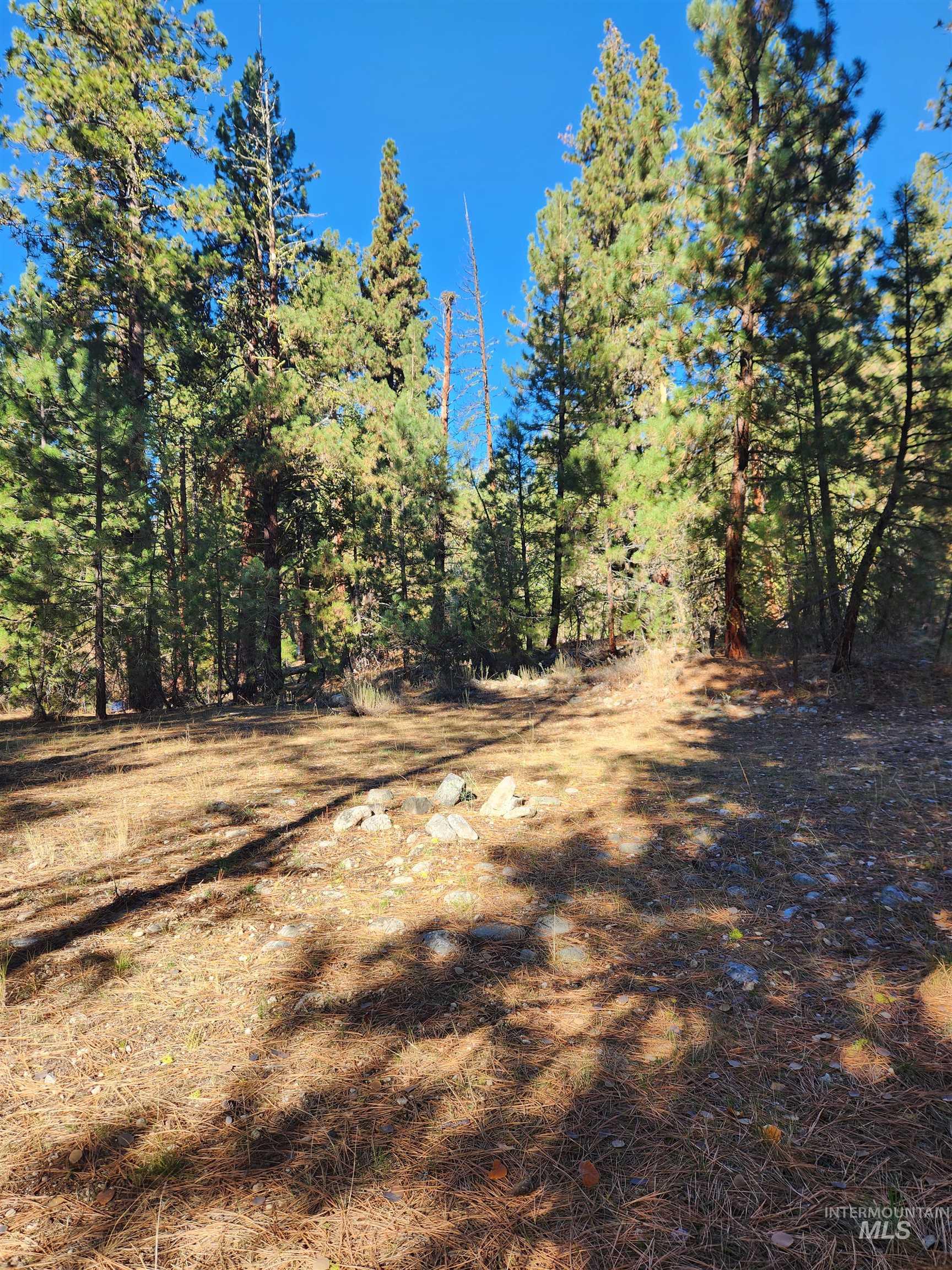 TBD Trinity Creek Rd, Featherville, Idaho 83647, Land For Sale, Price $450,000, 98966565