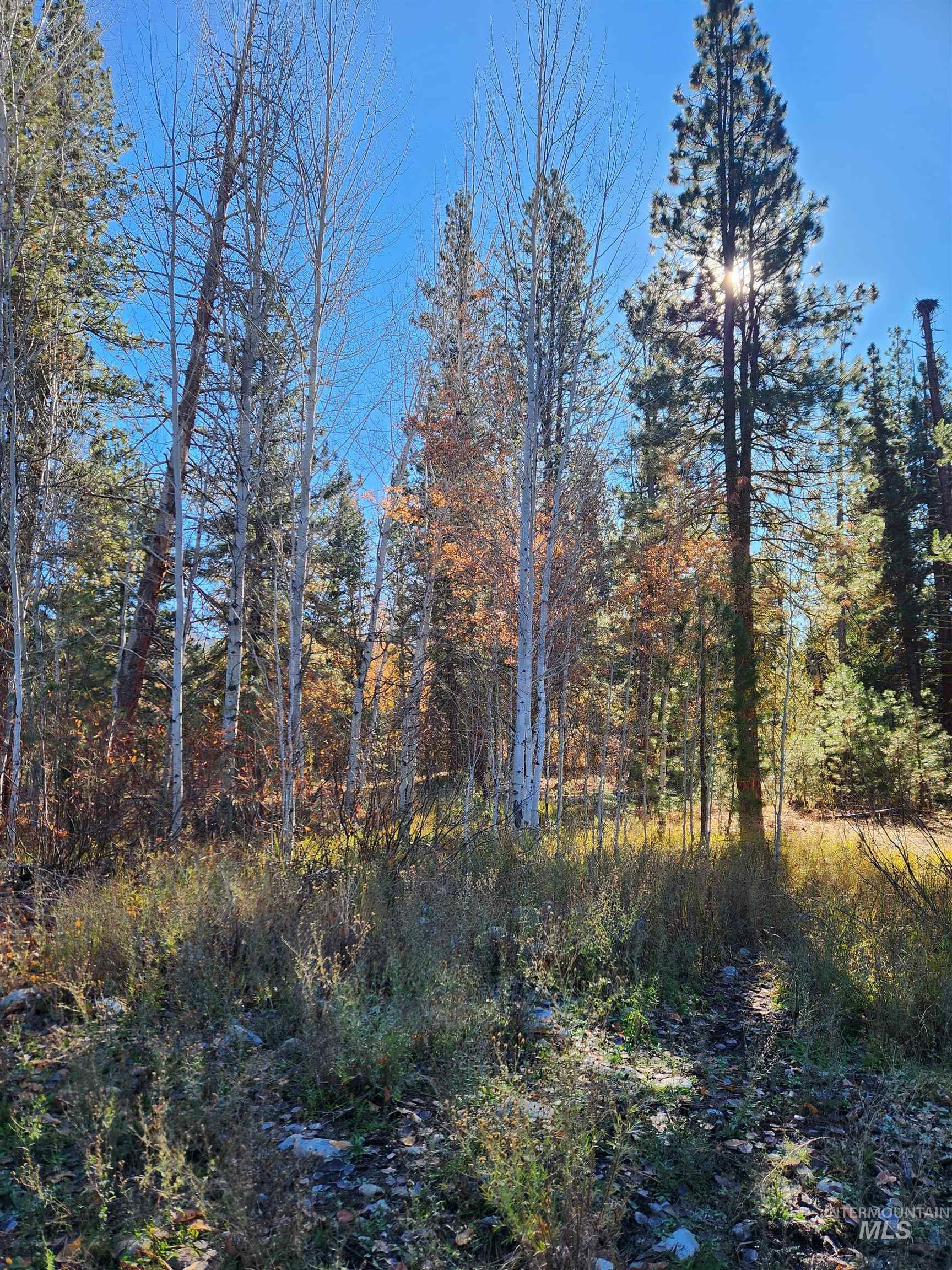TBD Trinity Creek Rd, Featherville, Idaho 83647, Land For Sale, Price $450,000, 98966565