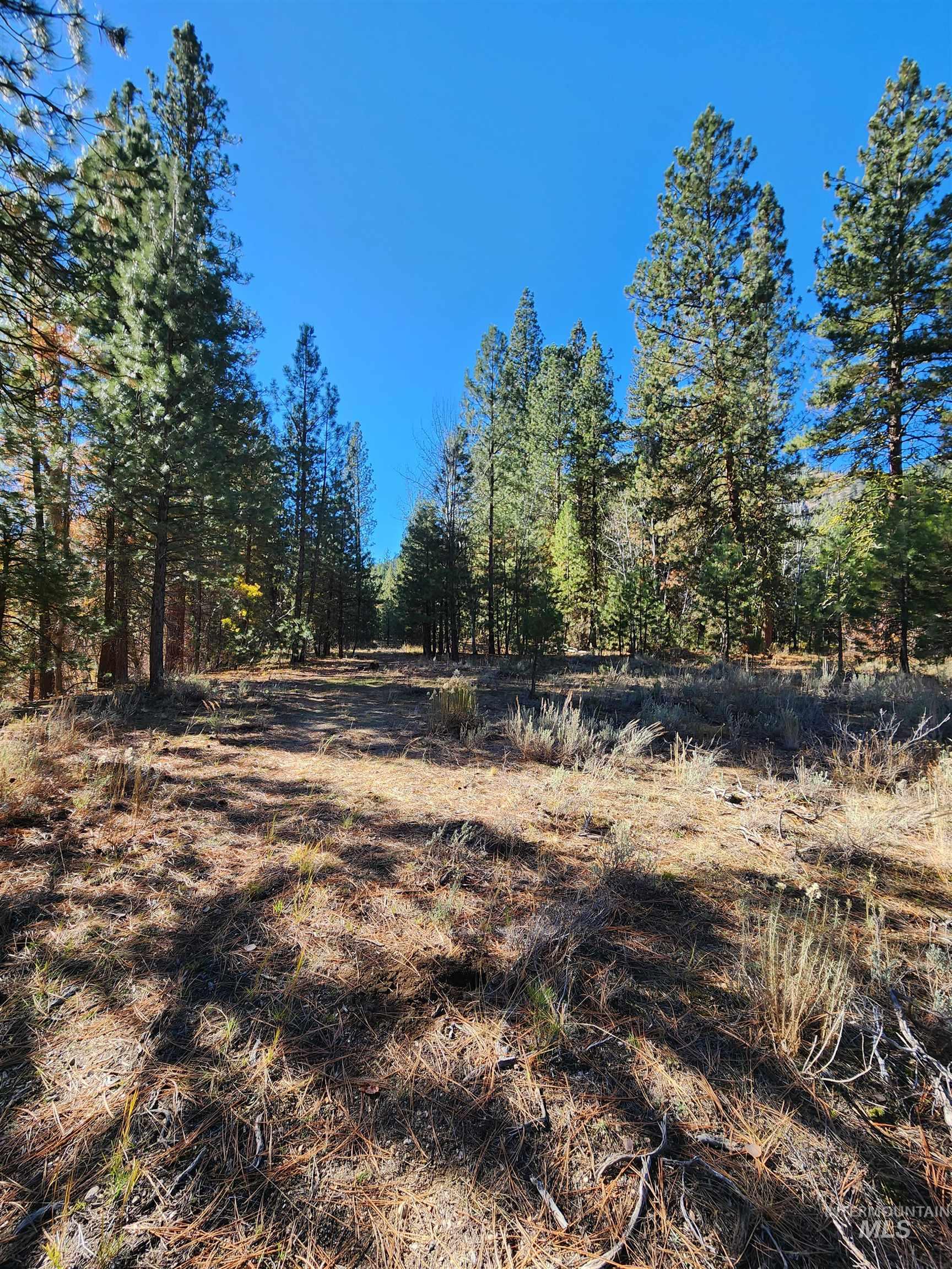 TBD Trinity Creek Rd, Featherville, Idaho 83647, Land For Sale, Price $450,000, 98966565