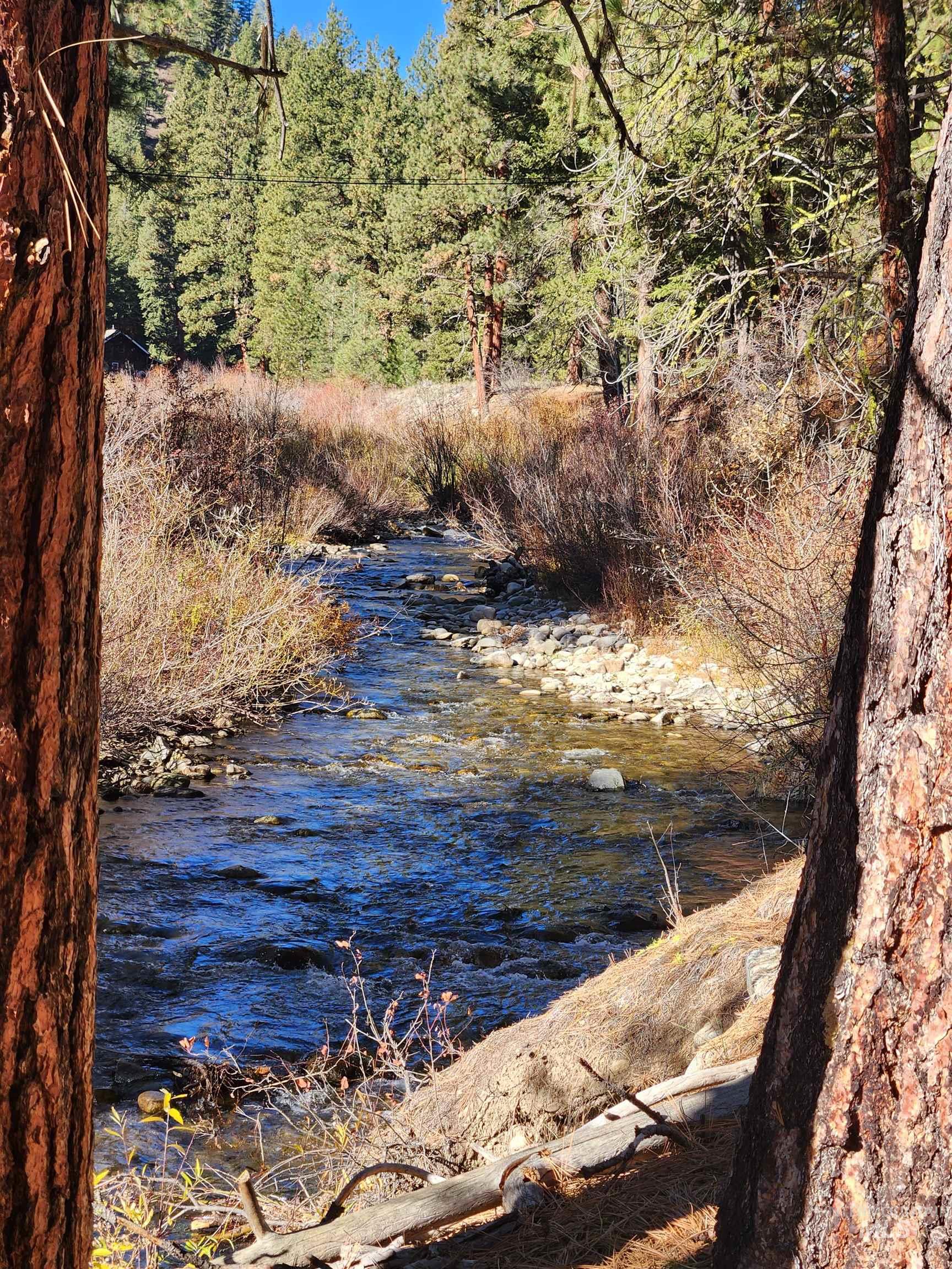 TBD Trinity Creek Rd, Featherville, Idaho 83647, Land For Sale, Price $450,000, 98966565