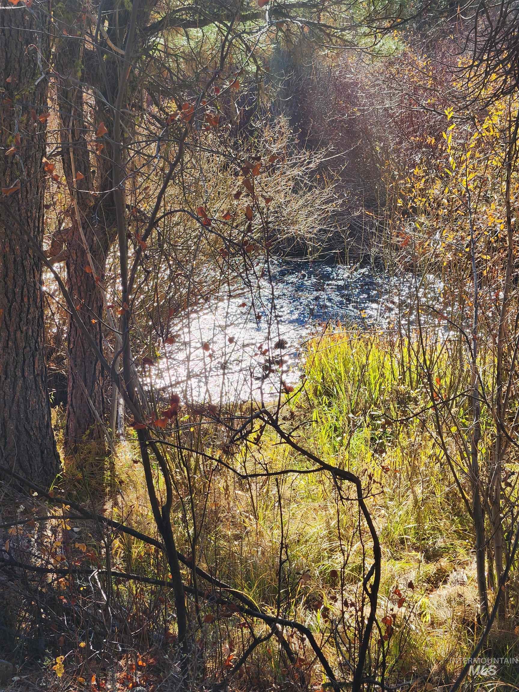 TBD Trinity Creek Rd, Featherville, Idaho 83647, Land For Sale, Price $450,000, 98966565