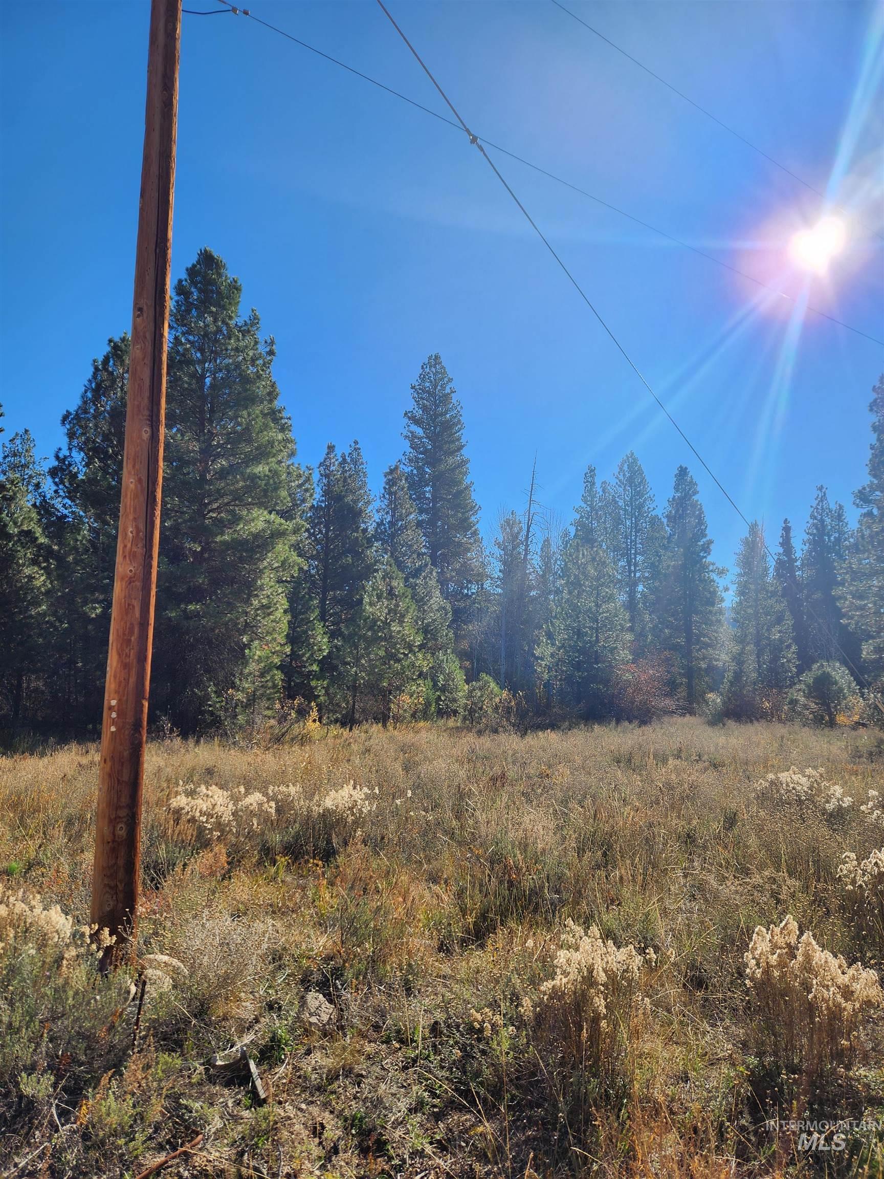 TBD Trinity Creek Rd, Featherville, Idaho 83647, Land For Sale, Price $450,000, 98966565