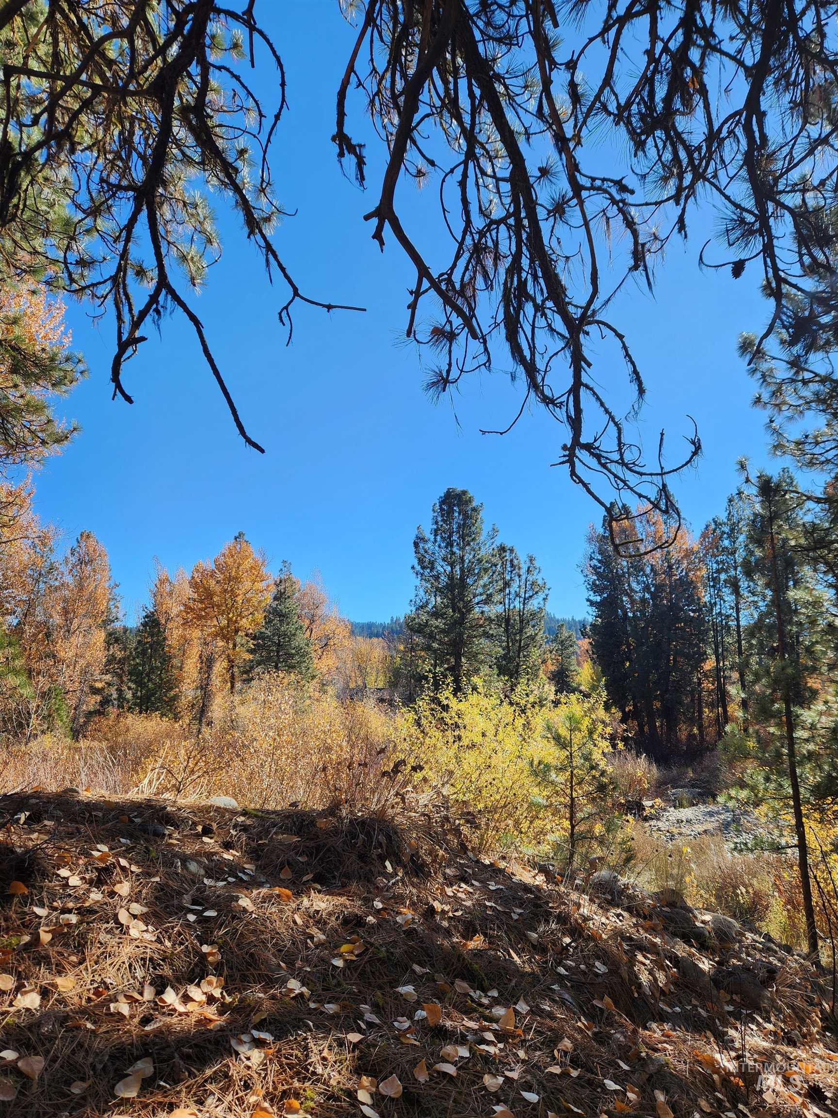 TBD Trinity Creek Rd, Featherville, Idaho 83647, Land For Sale, Price $450,000, 98966565