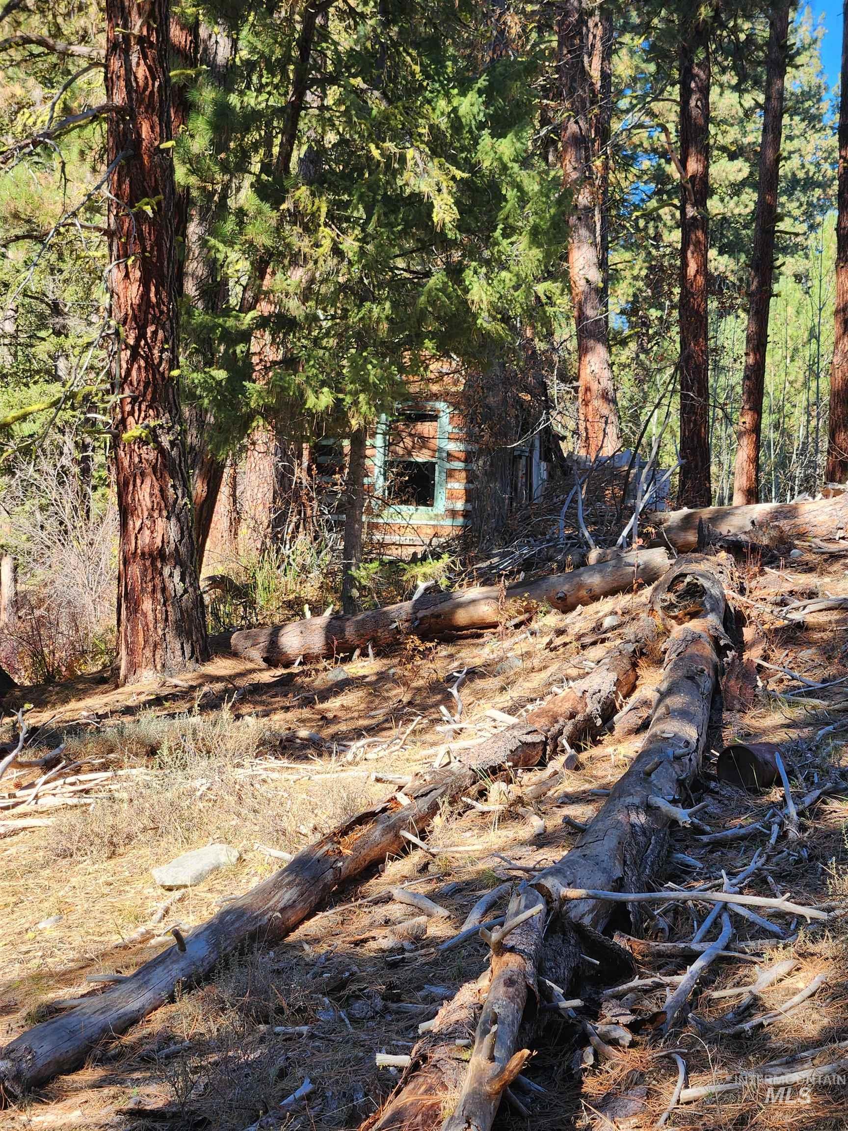 TBD Trinity Creek Rd, Featherville, Idaho 83647, Land For Sale, Price $450,000, 98966565