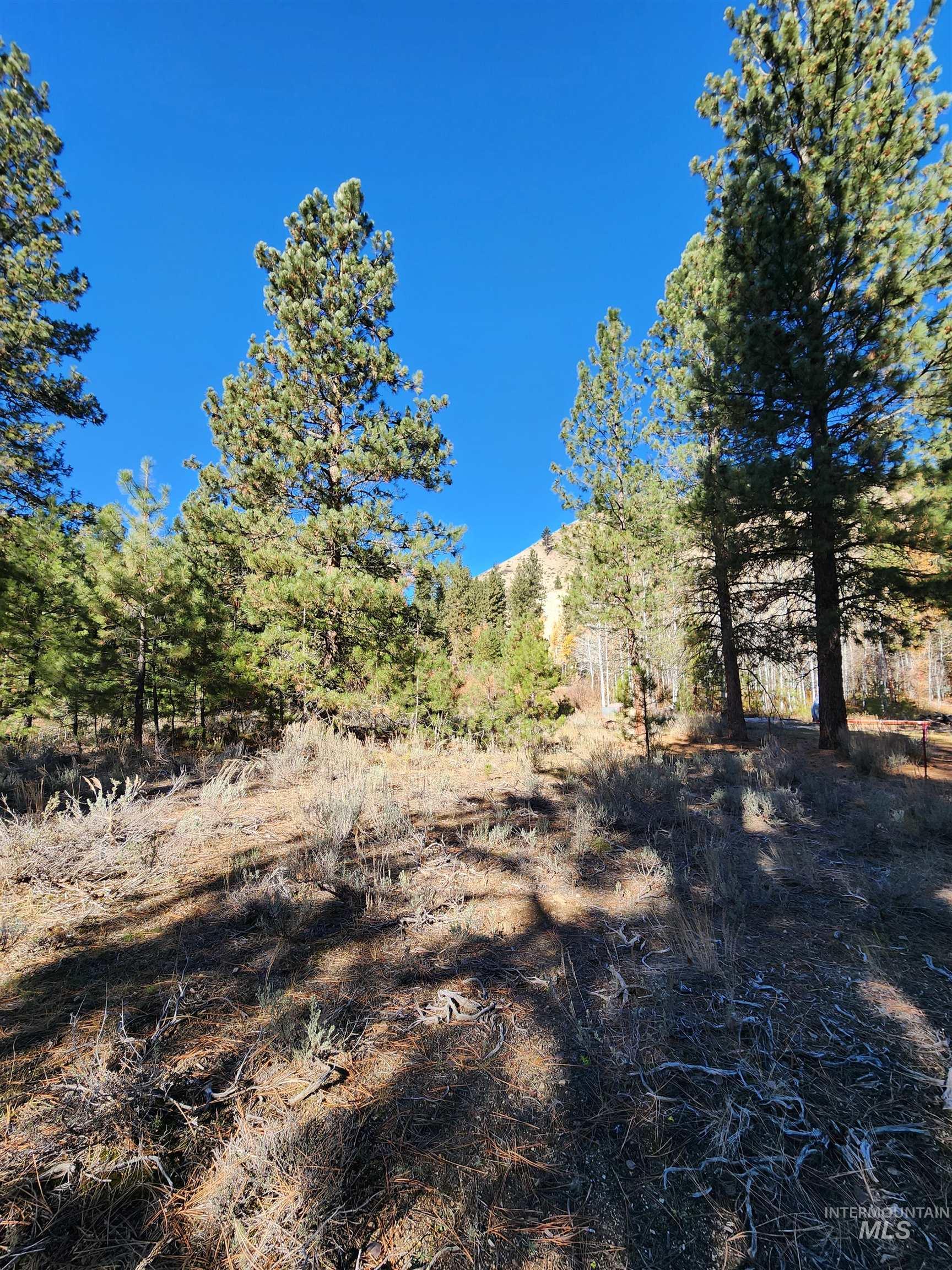 TBD Trinity Creek Rd, Featherville, Idaho 83647, Land For Sale, Price $450,000, 98966565