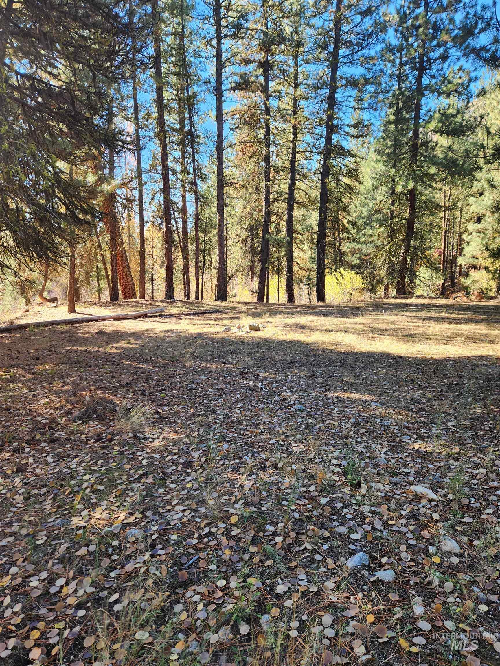 TBD Trinity Creek Rd, Featherville, Idaho 83647, Land For Sale, Price $450,000, 98966565