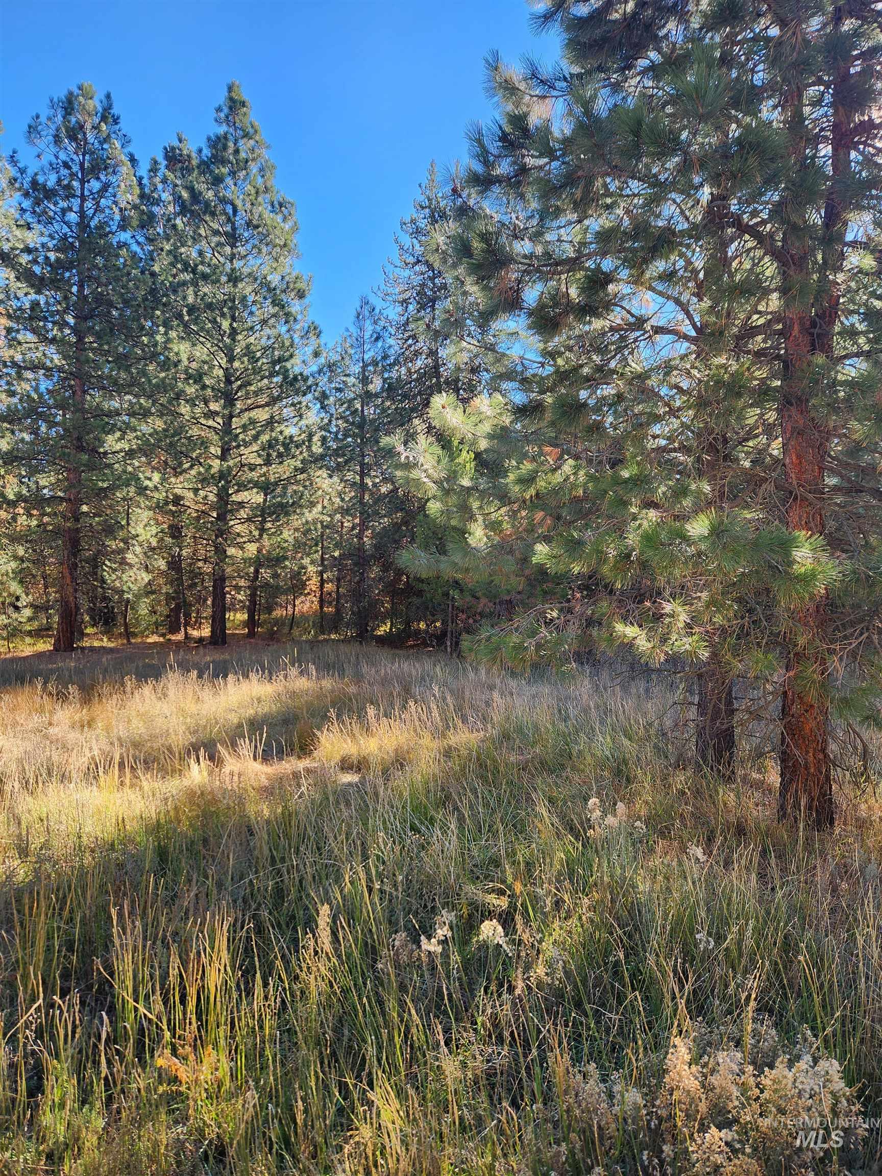 TBD Trinity Creek Rd, Featherville, Idaho 83647, Land For Sale, Price $450,000, 98966565