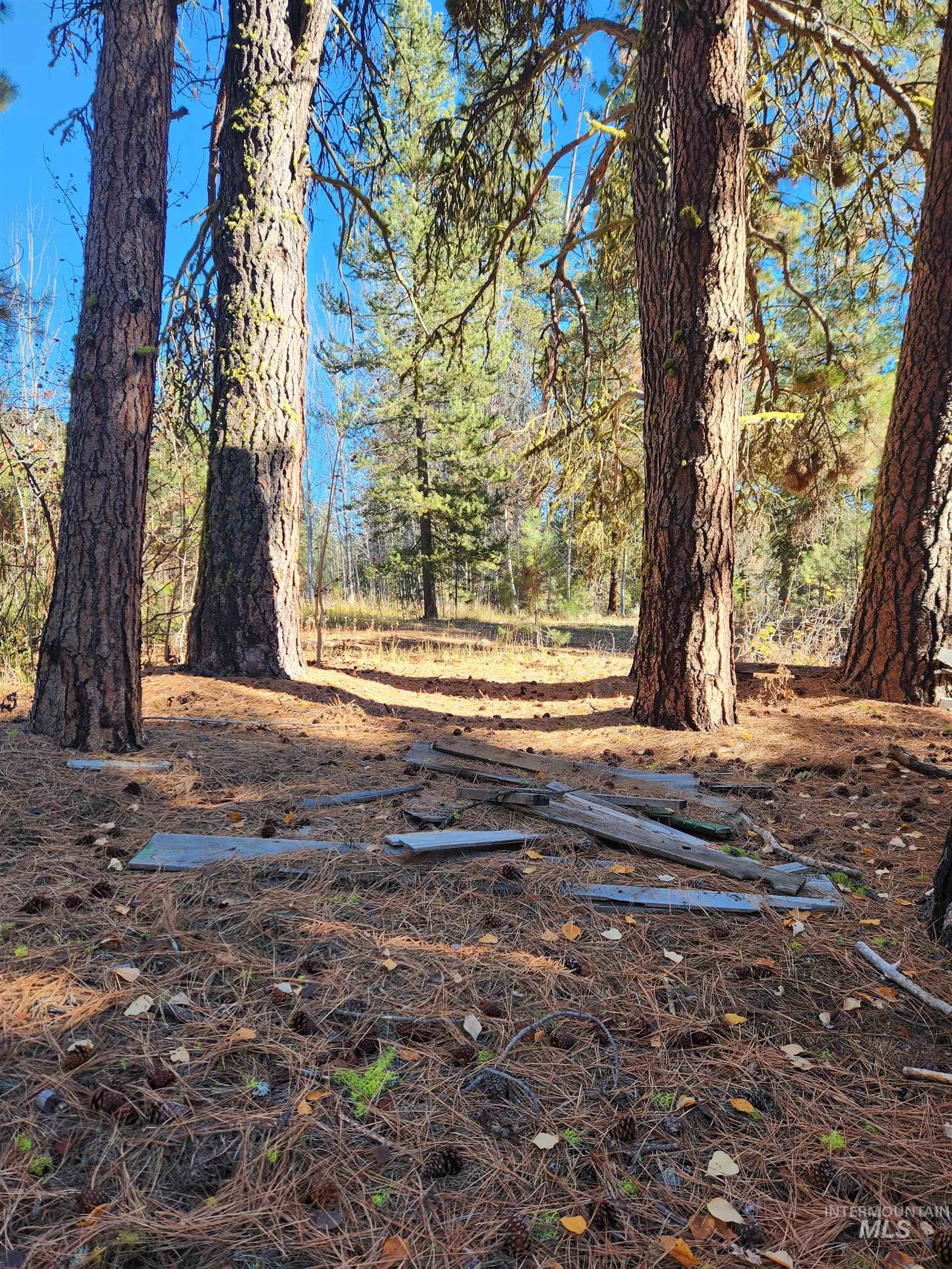 TBD Trinity Creek Rd, Featherville, Idaho 83647, Land For Sale, Price $450,000, 98966565