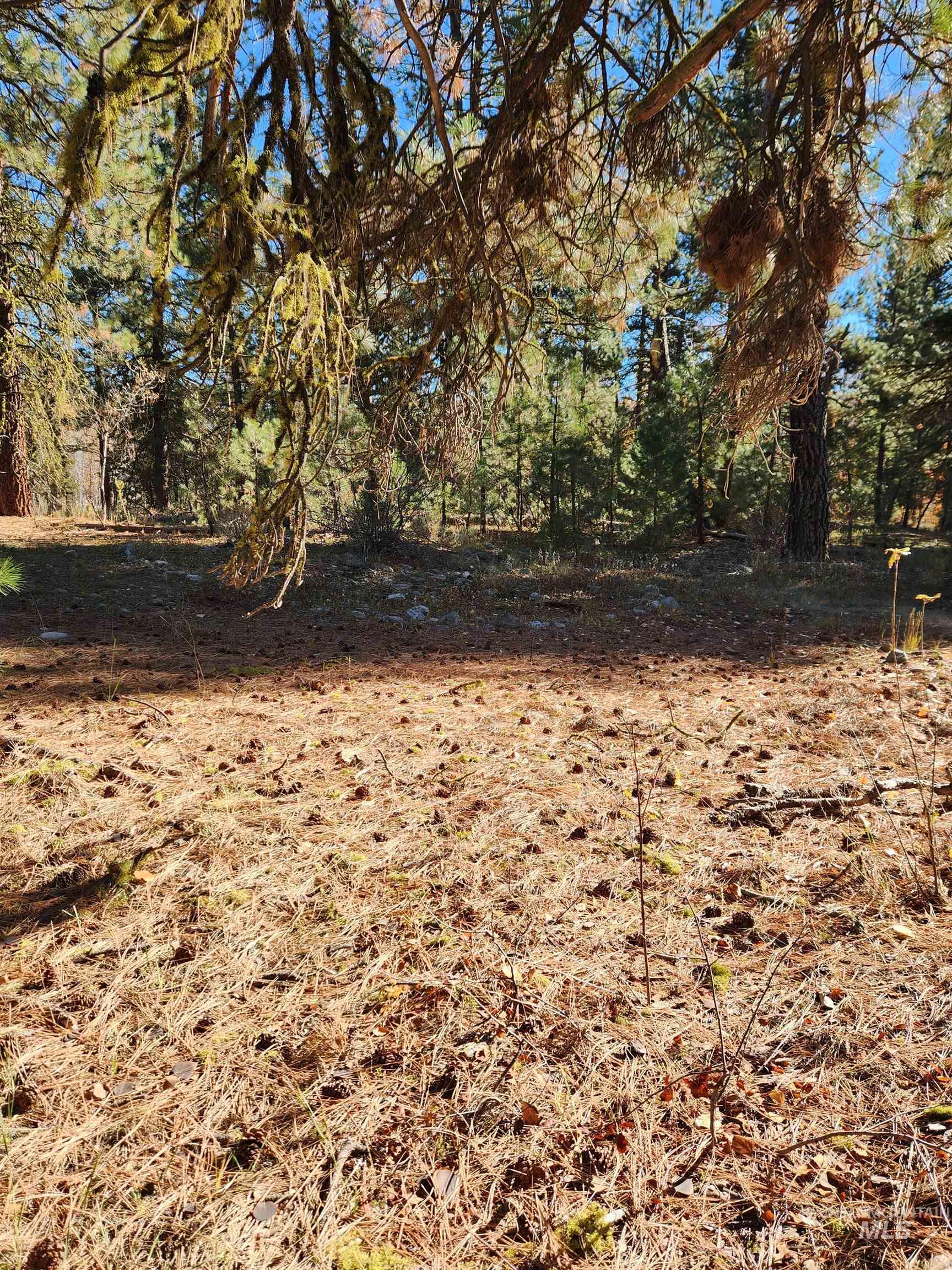 TBD Trinity Creek Rd, Featherville, Idaho 83647, Land For Sale, Price $450,000, 98966565