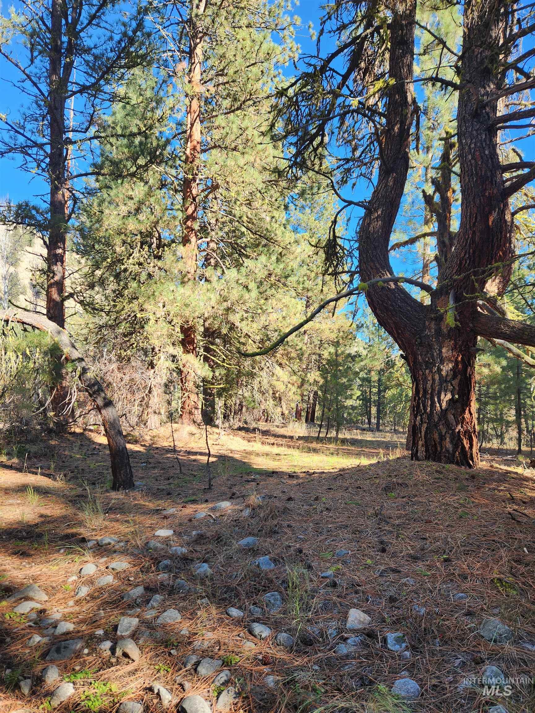 TBD Trinity Creek Rd, Featherville, Idaho 83647, Land For Sale, Price $450,000, 98966565