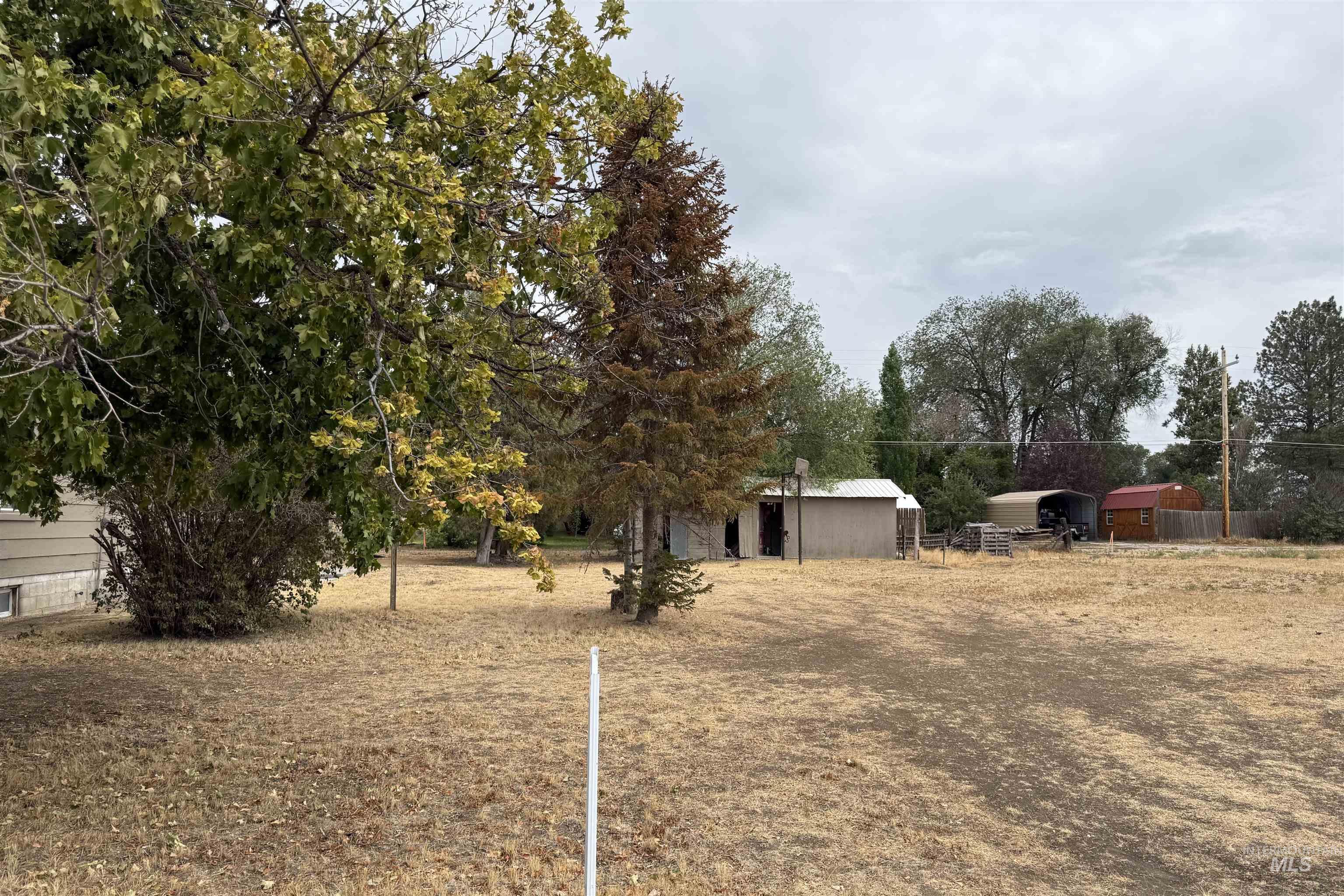 View of yard with a detached carport, an outbuilding, and view of wooded area