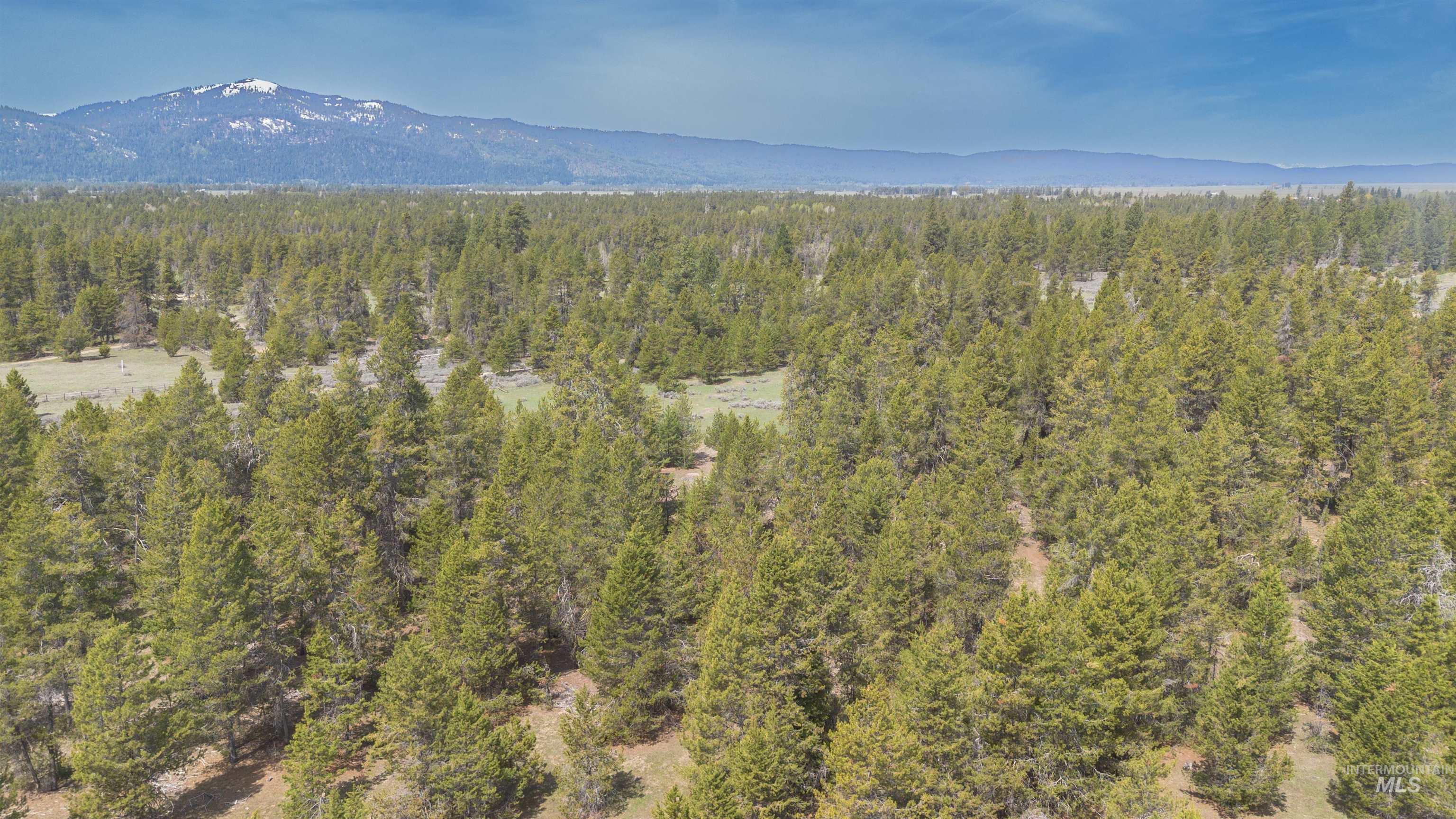13321 Highway 55, McCall, Idaho 83638, Land For Sale, Price $699,999, 98966578