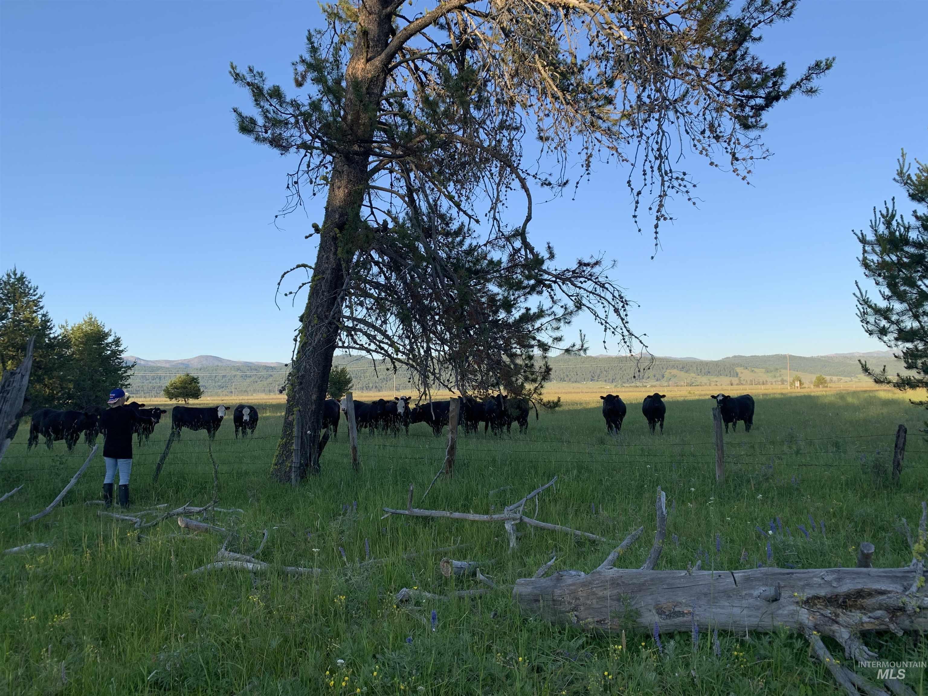 13321 Highway 55, McCall, Idaho 83638, Land For Sale, Price $699,999, 98966578