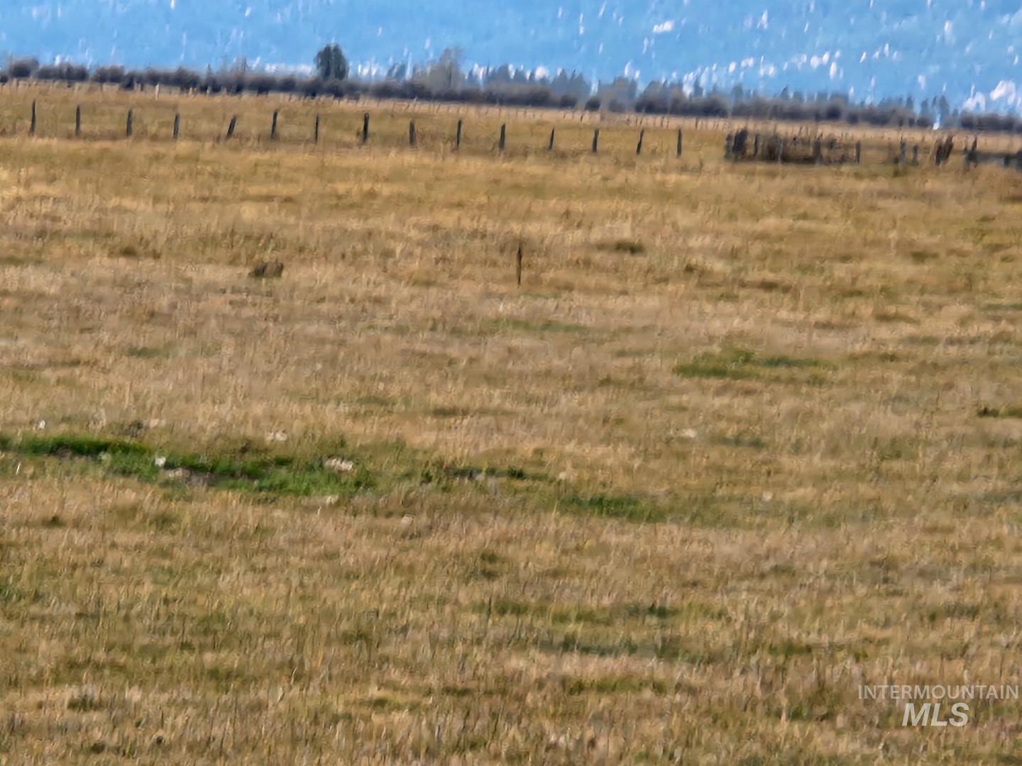 View of local wilderness with rural landscape