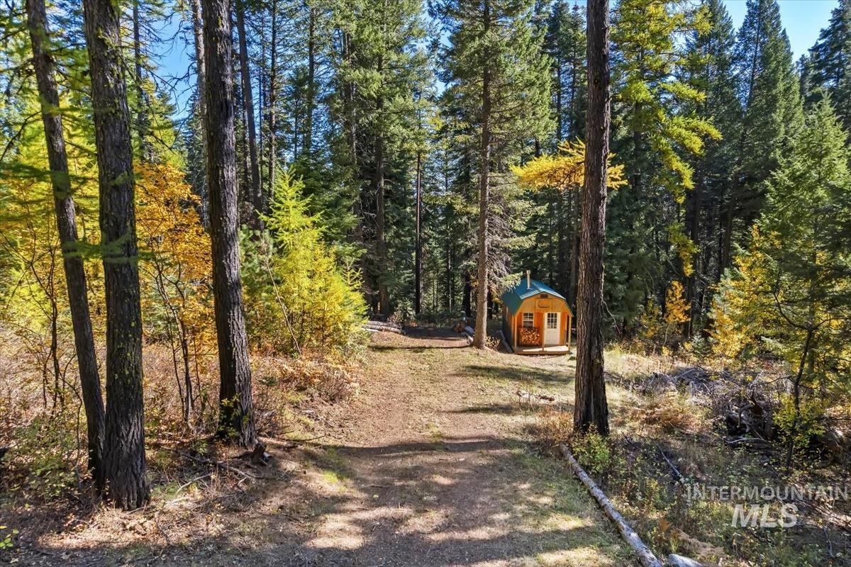 View of dirt / gravel road featuring a view of trees