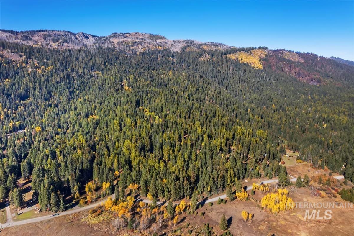 Mountain view featuring a heavily wooded area