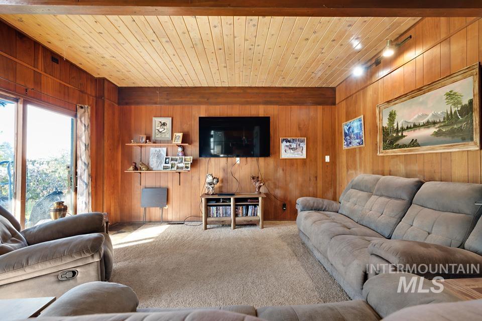 Living area featuring carpet floors, wood walls, and wooden ceiling