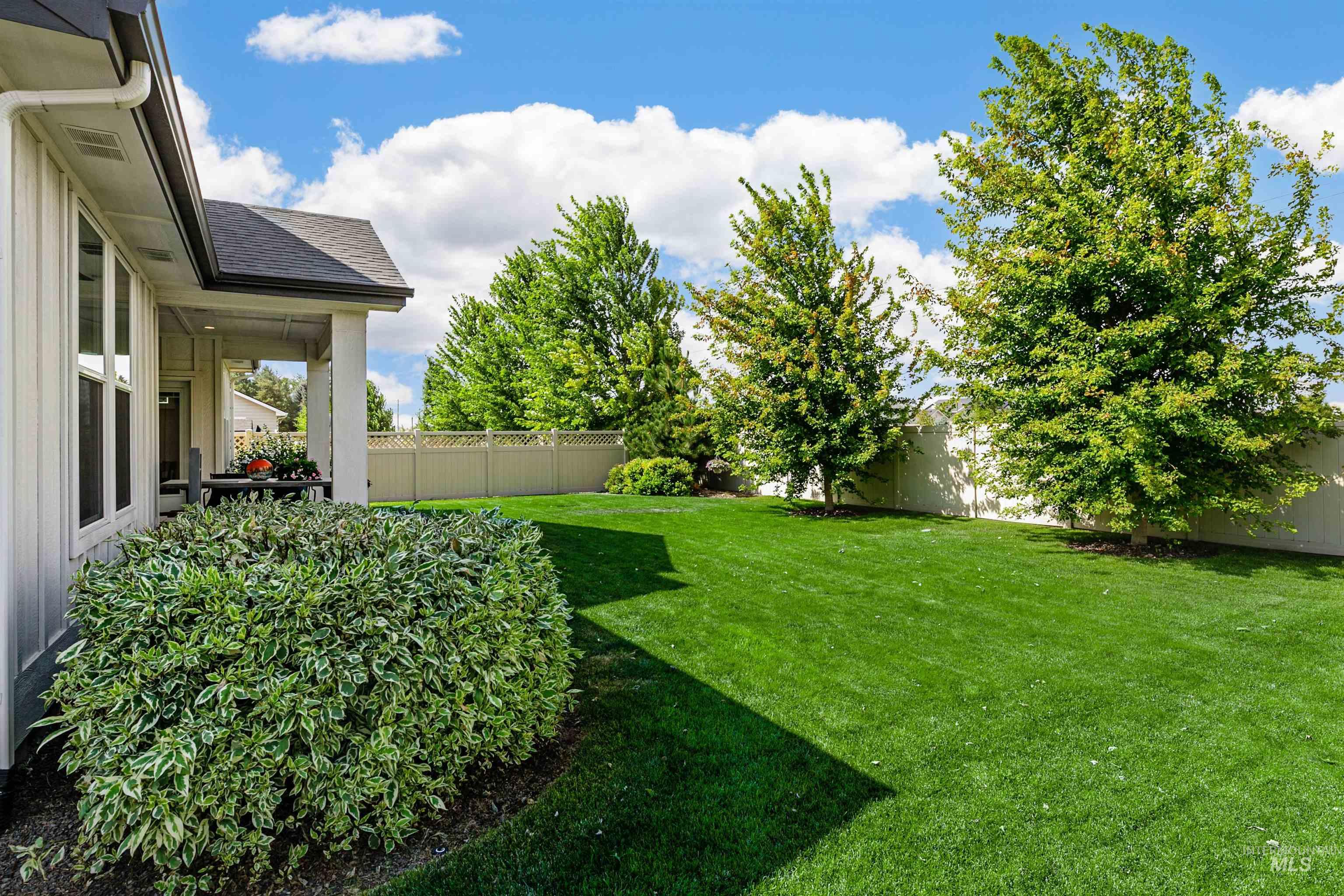 View of fenced backyard