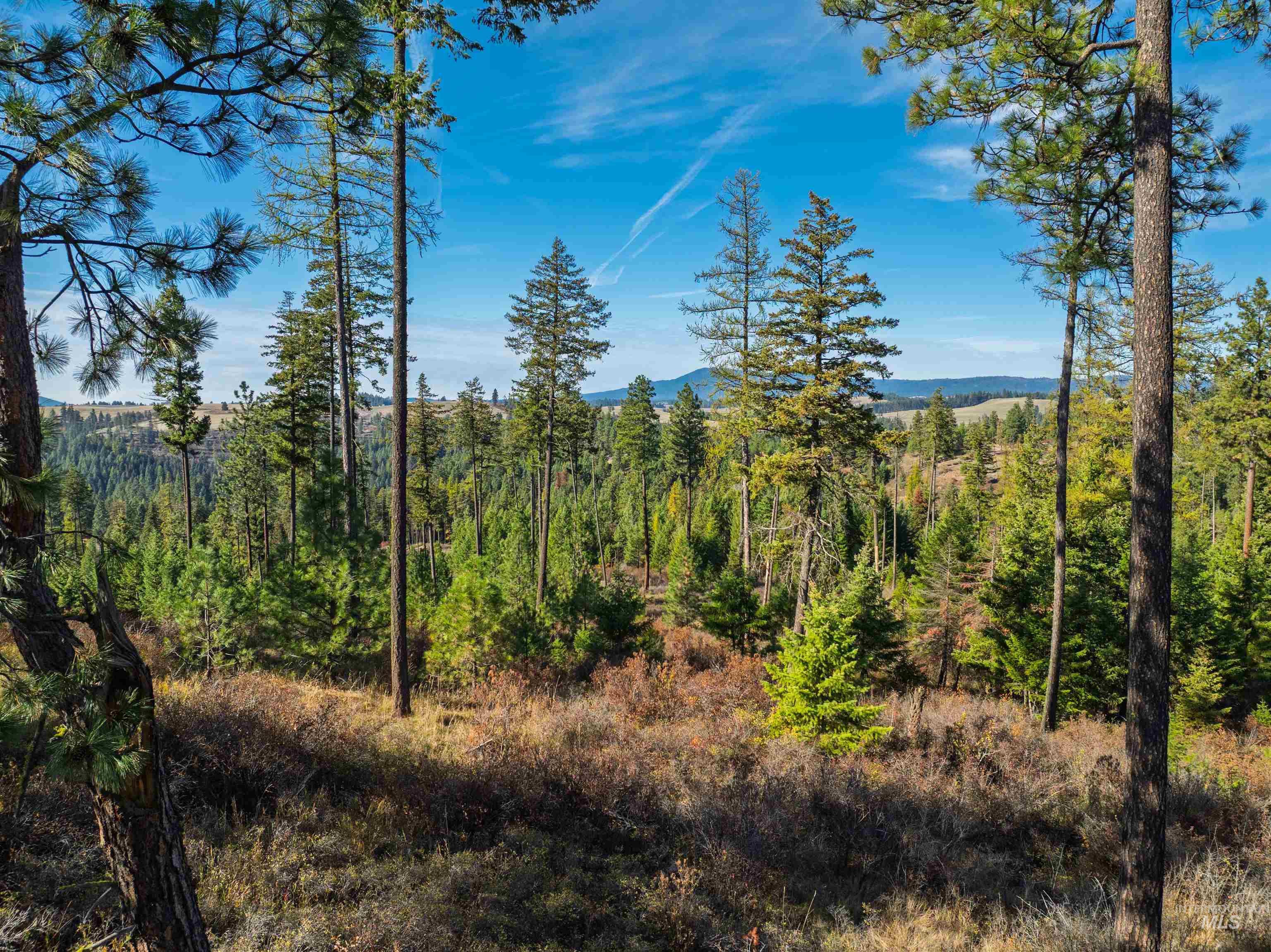 1703 Little Bear Ridge Rd, Troy, Idaho 83871, 3 Bedrooms, 2 Bathrooms, Residential For Sale, Price $900,000, 98966645