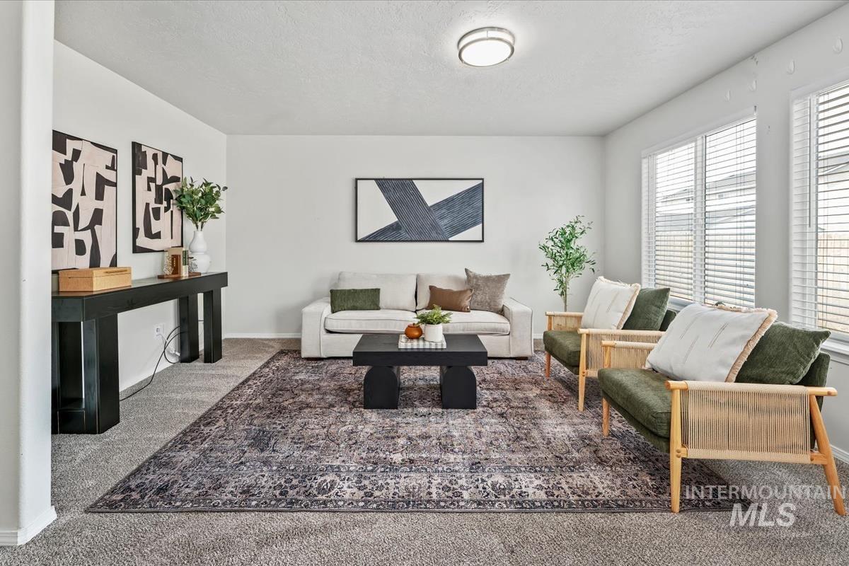 Living area with carpet and a textured ceiling