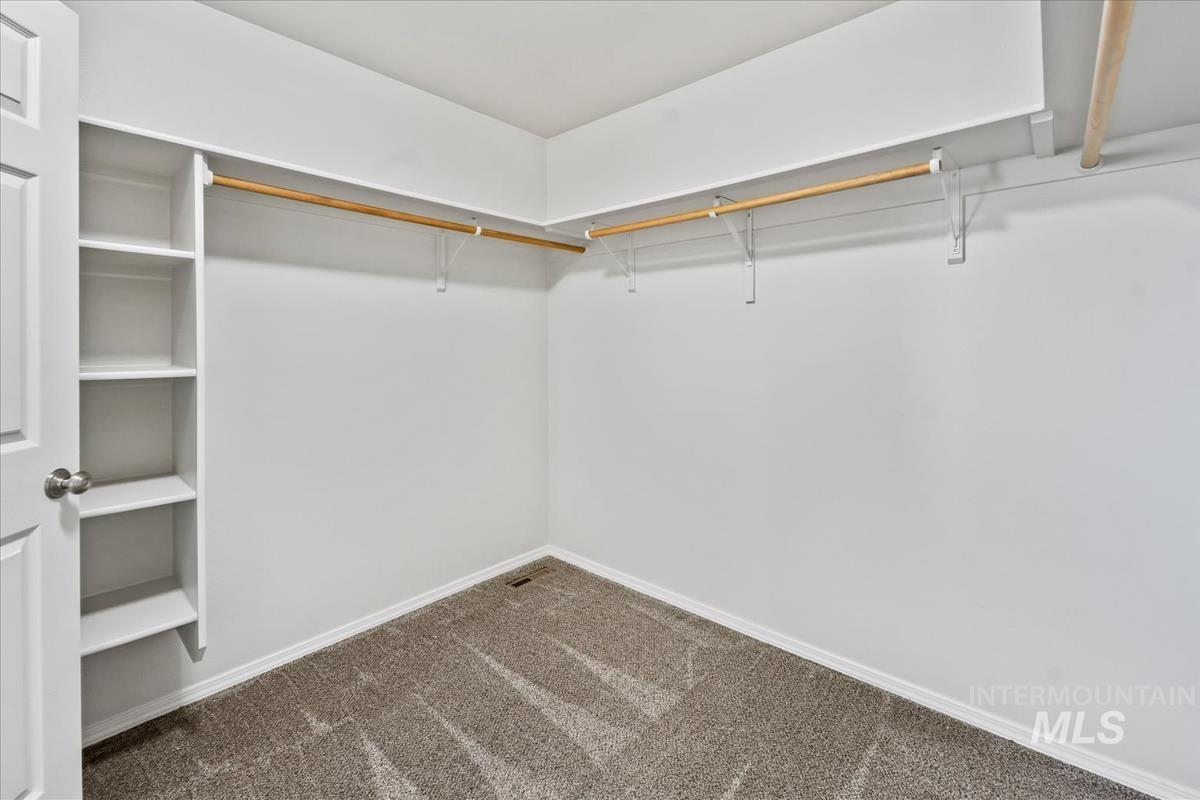 Walk in closet with carpet