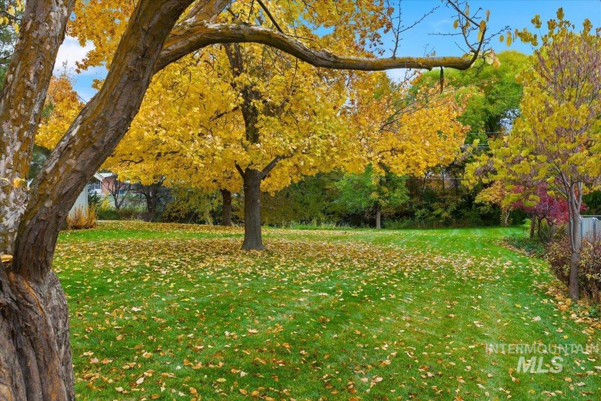 1823 Ray, Caldwell, Idaho 83605, 2 Bedrooms, 2 Bathrooms, Residential For Sale, Price $365,000, 98966660