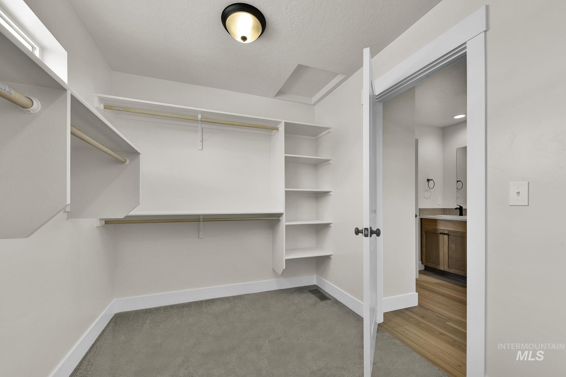 Spacious closet with light colored carpet and light wood-type flooring