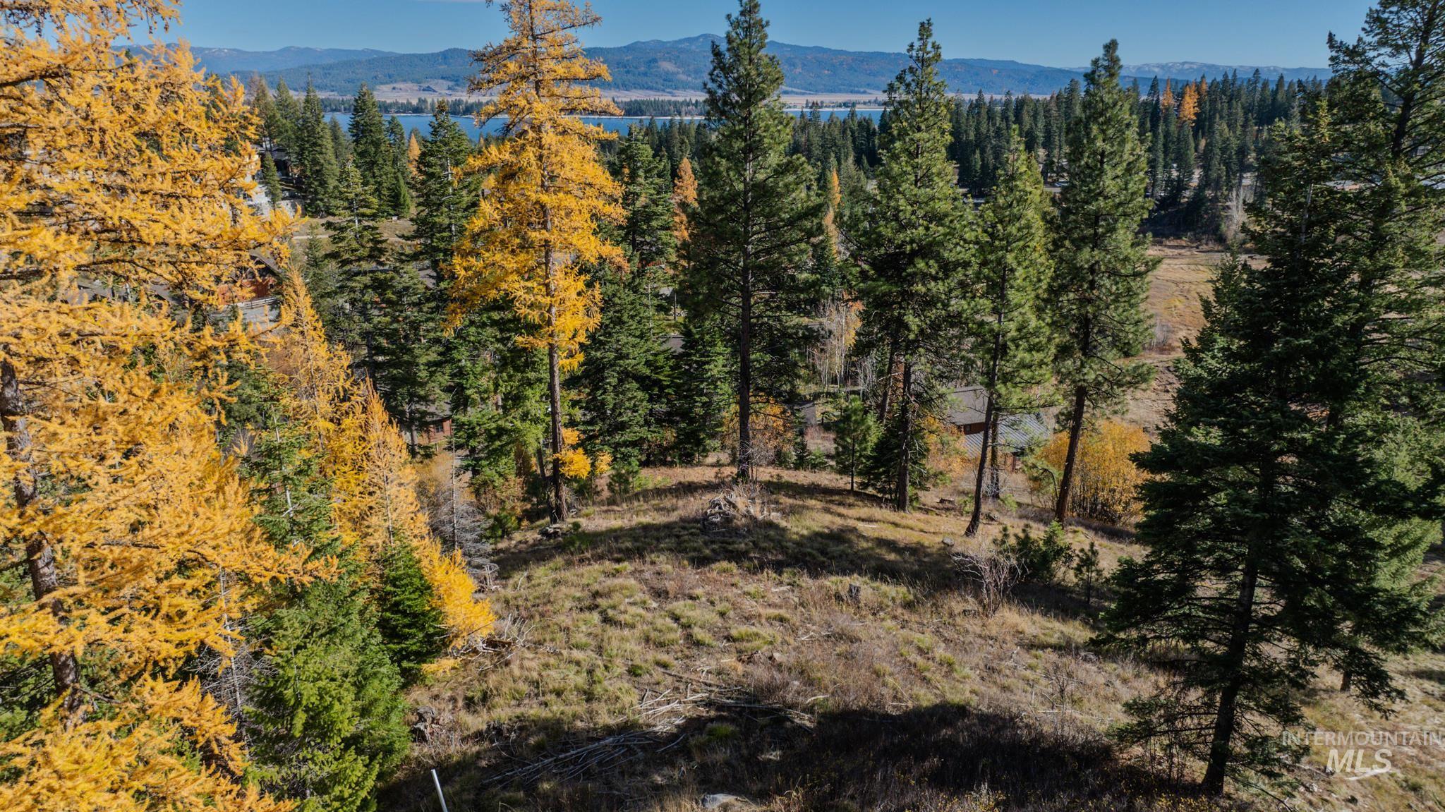 116 Golden Bar Court, Donnelly, Idaho 83615, Land For Sale, Price $775,000, 98966665