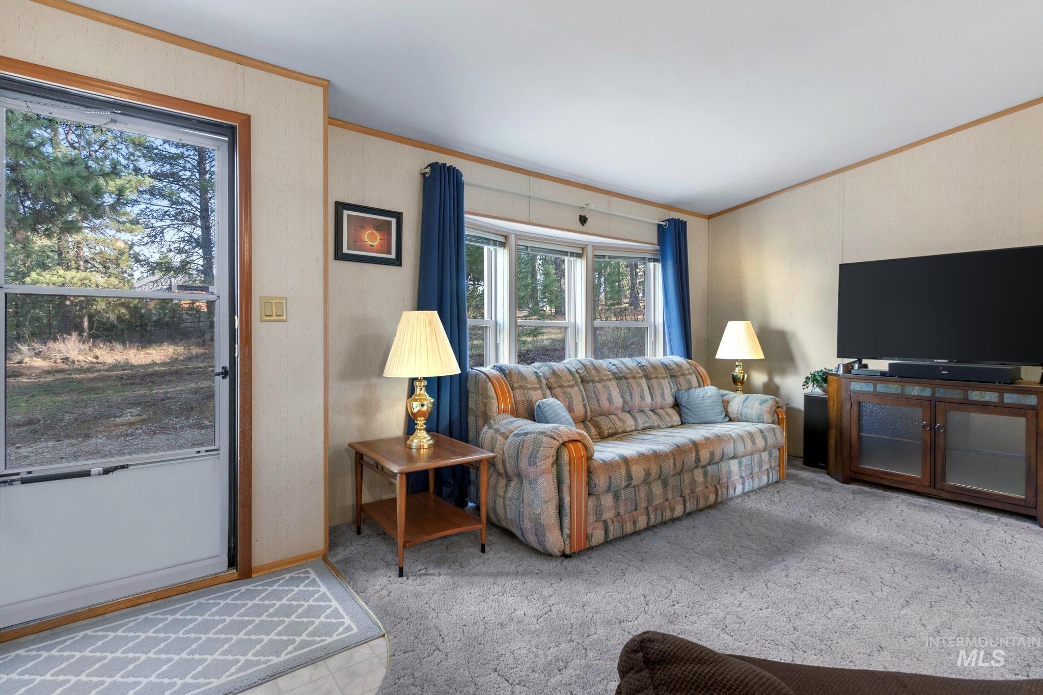 Carpeted living area with ornamental molding