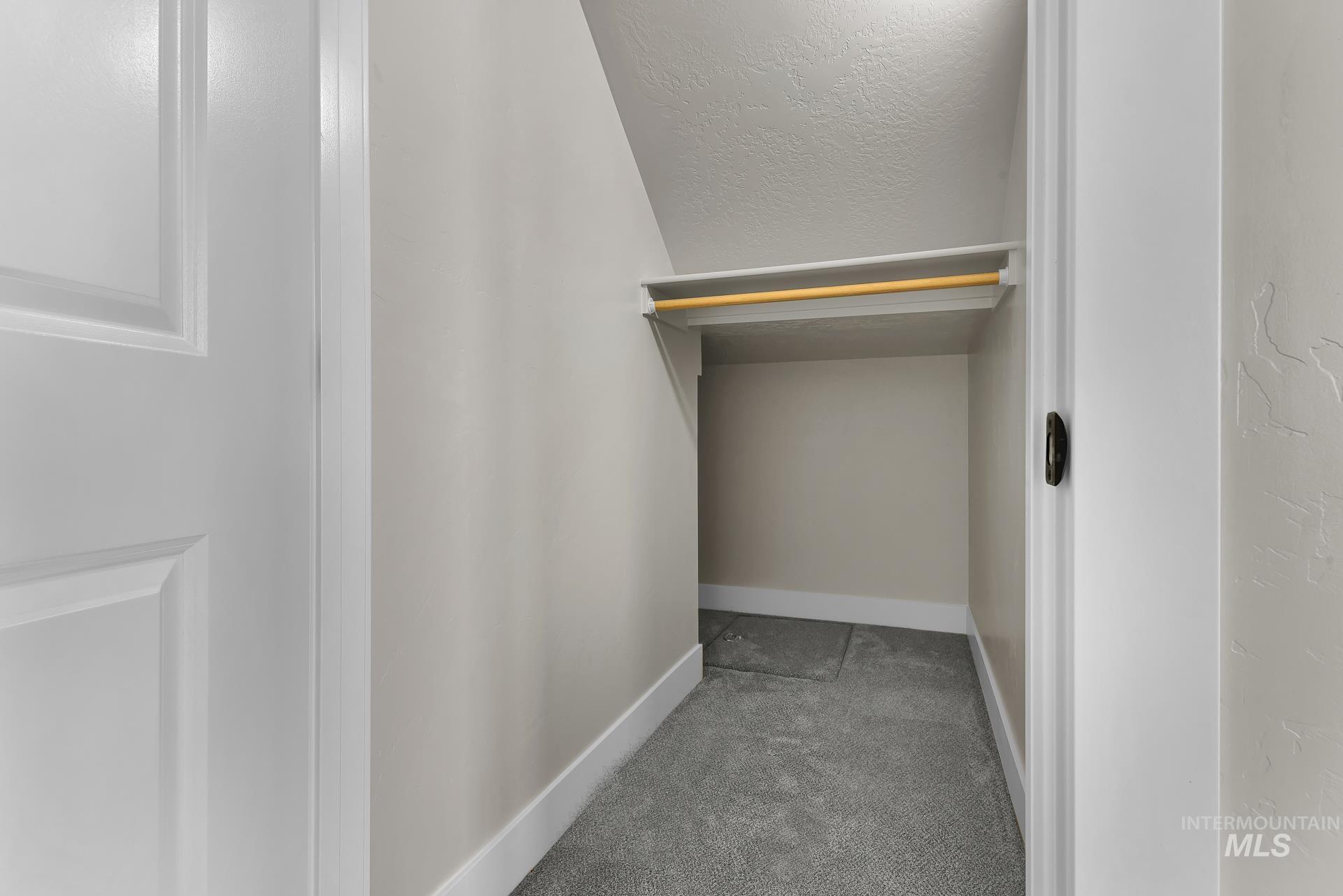 Walk in closet with carpet