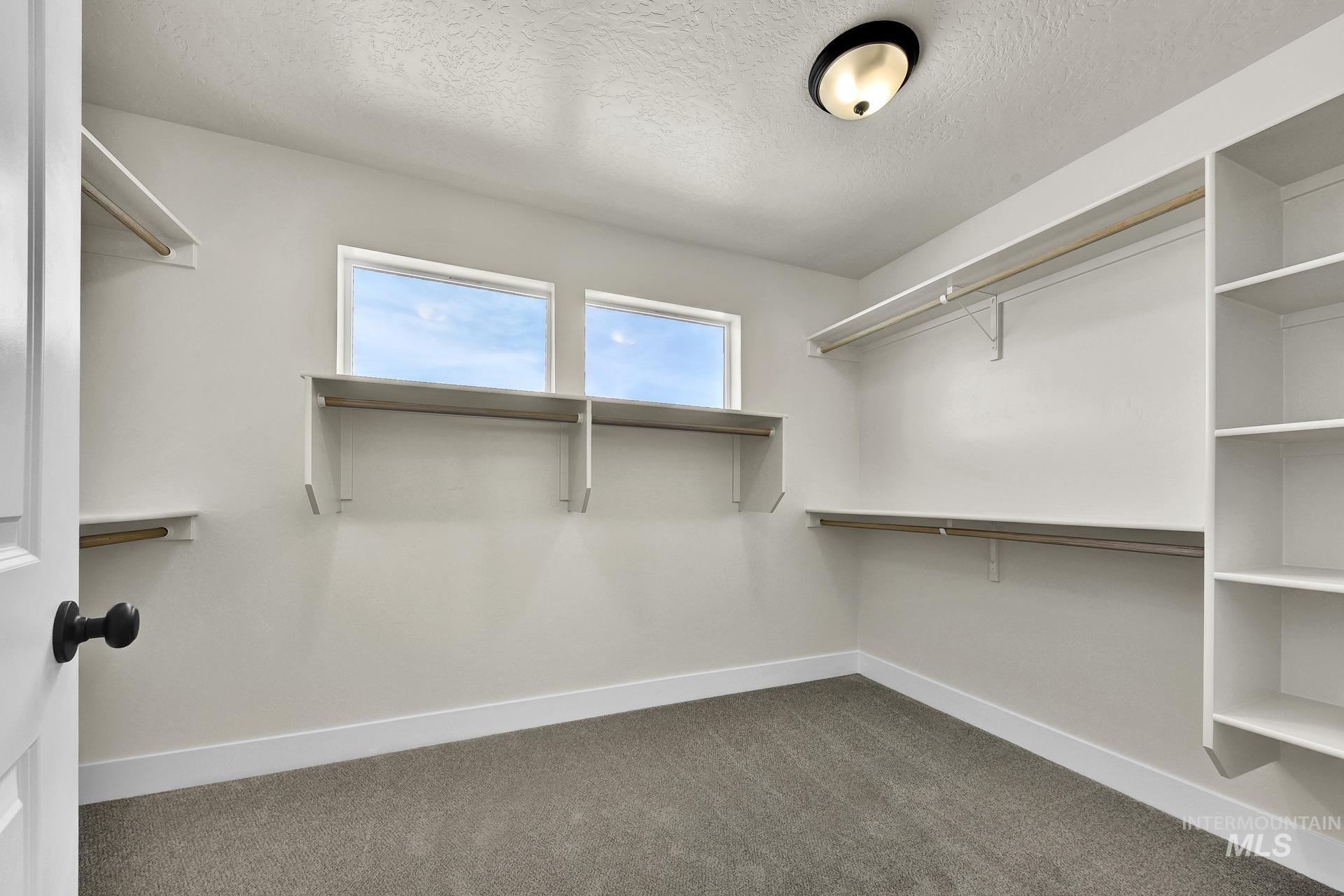 Spacious closet with light colored carpet