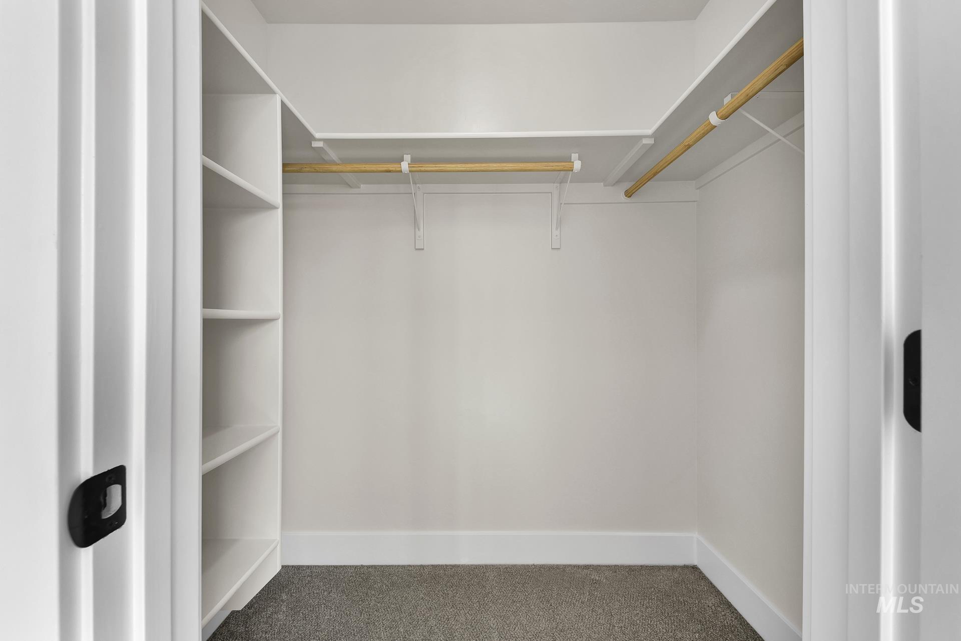 Walk in closet with carpet