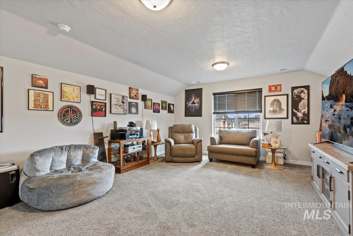 Living room featuring lofted ceiling, carpet, and a textured ceiling