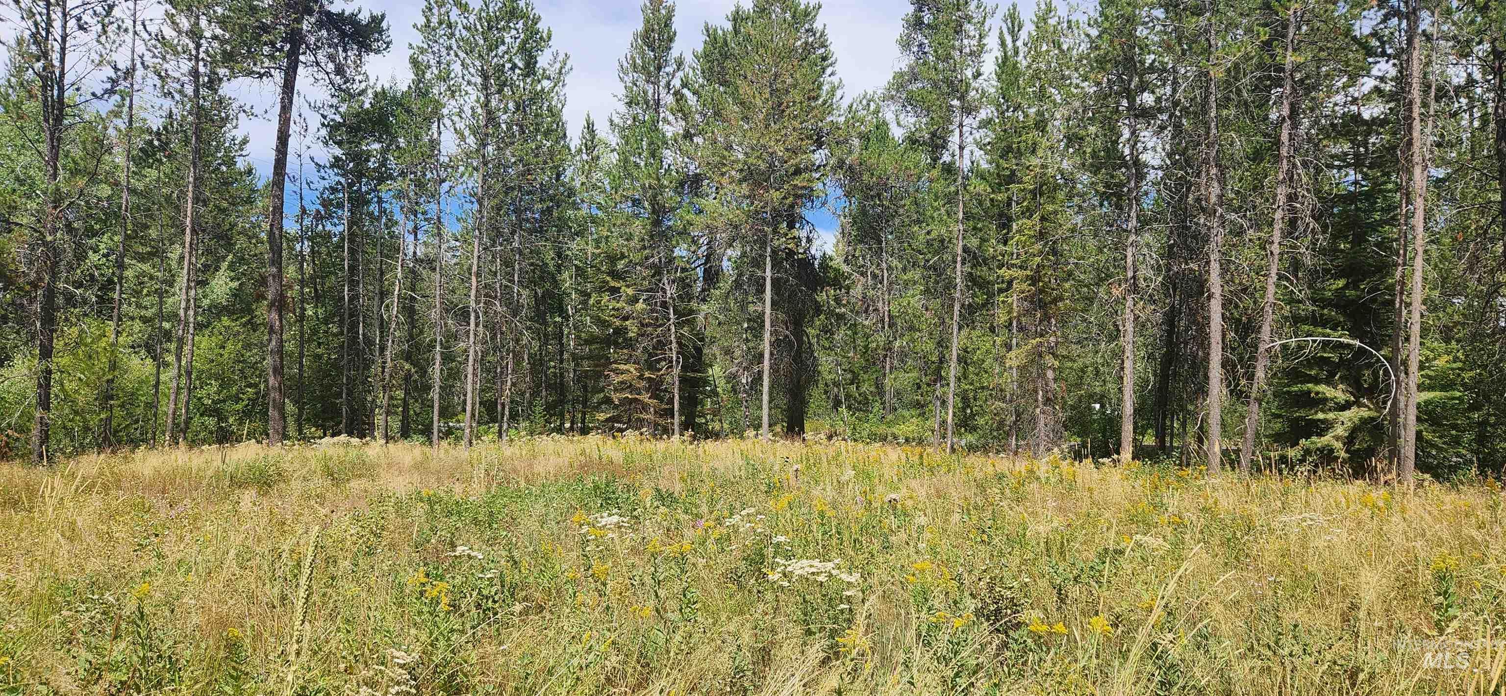 12874 Willow Rd, Donnelly, Idaho 83615, Land For Sale, Price $169,000, 98966675