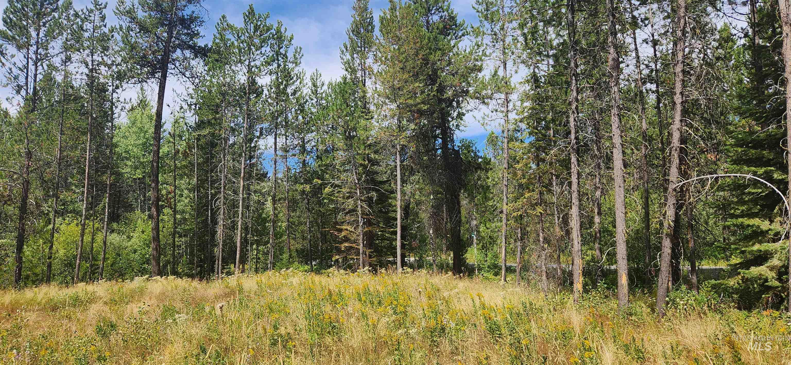 12874 Willow Rd, Donnelly, Idaho 83615, Land For Sale, Price $169,000, 98966675