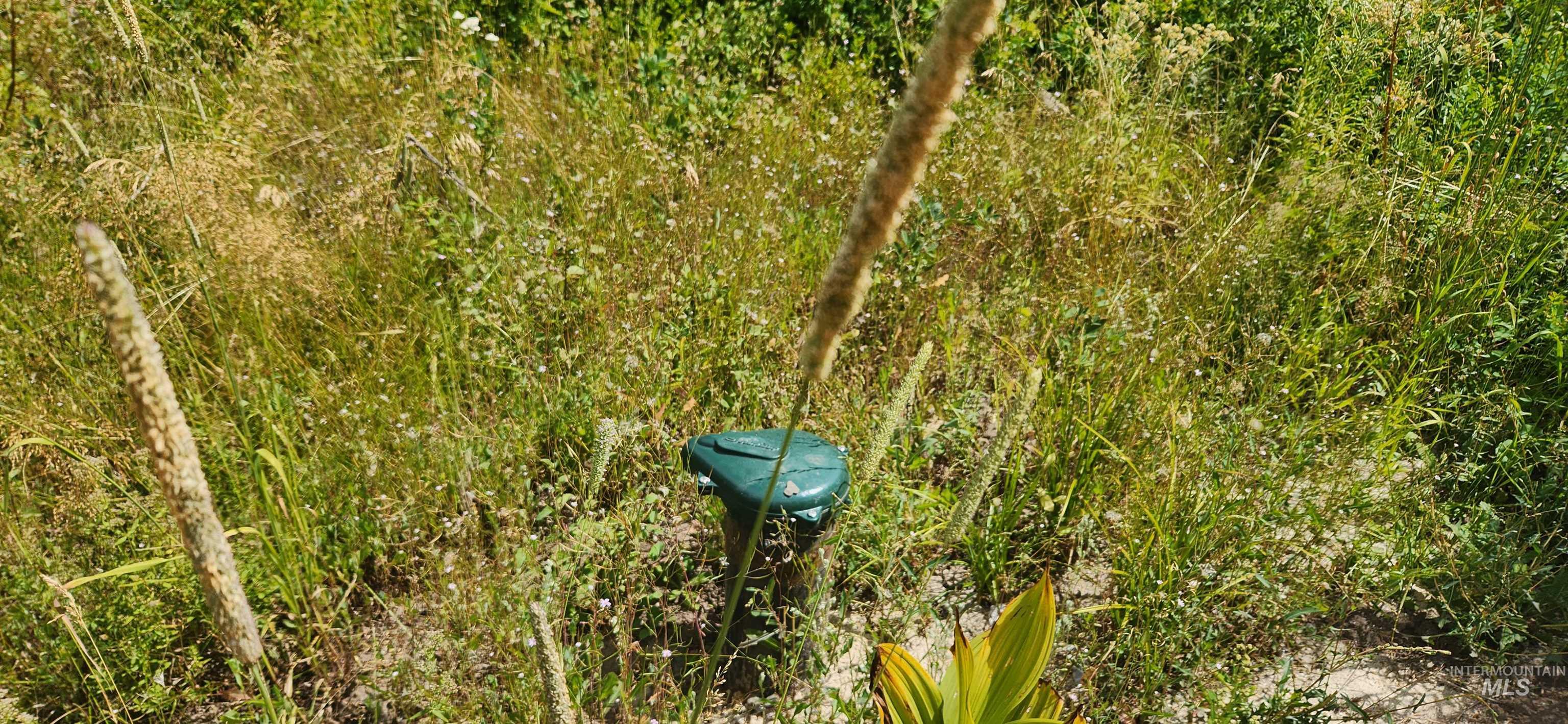 12874 Willow Rd, Donnelly, Idaho 83615, Land For Sale, Price $169,000, 98966675