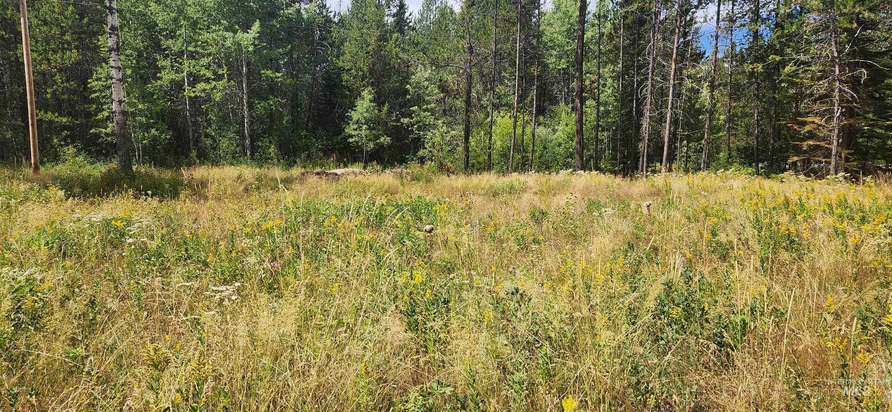 12874 Willow Rd, Donnelly, Idaho 83615, Land For Sale, Price $169,000, 98966675