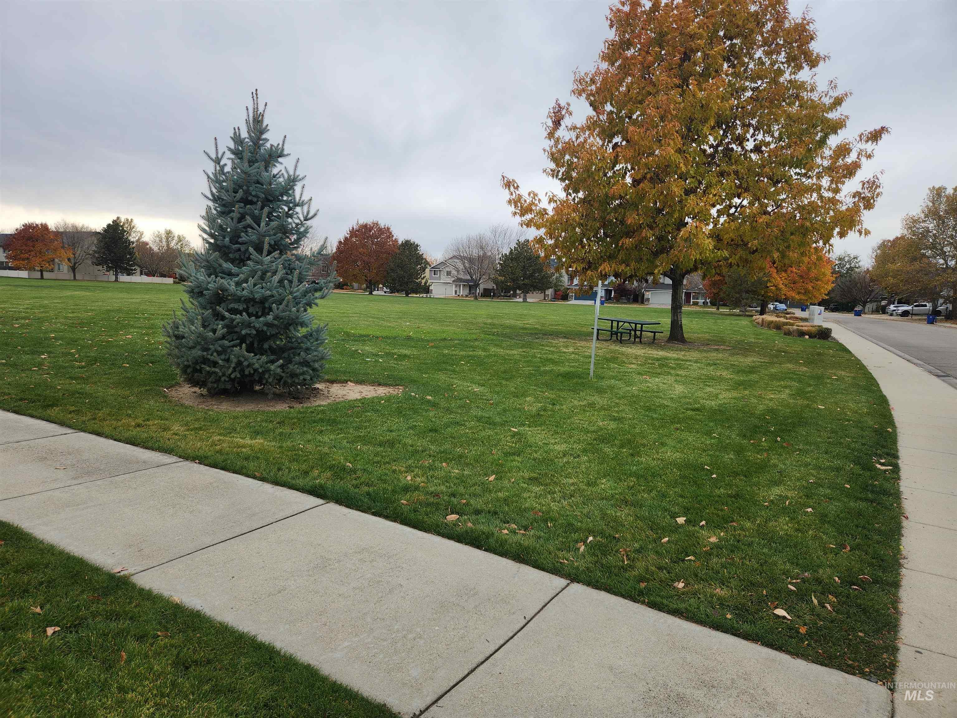 Surrounding community with a lawn