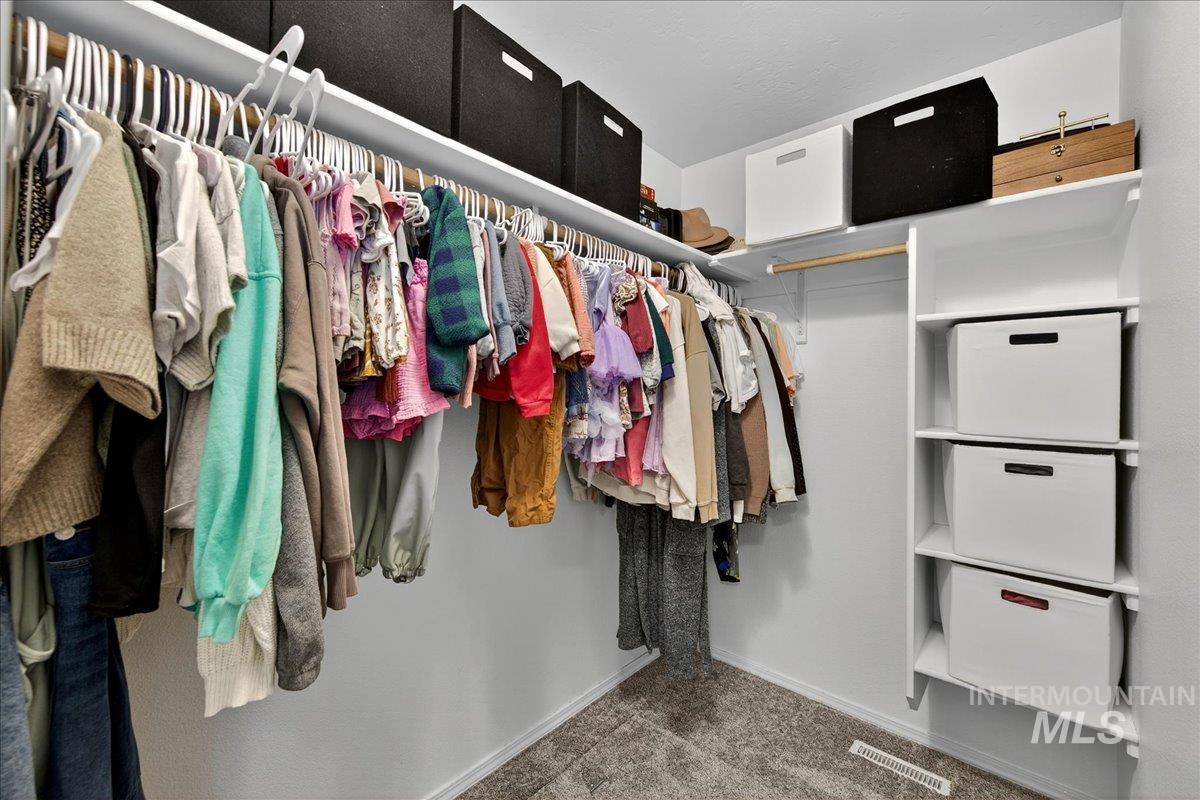 Spacious closet featuring carpet flooring