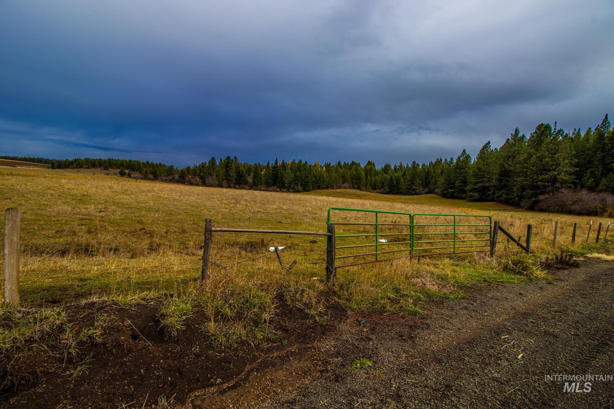 View of street featuring a gate, a view of countryside, and a forest view